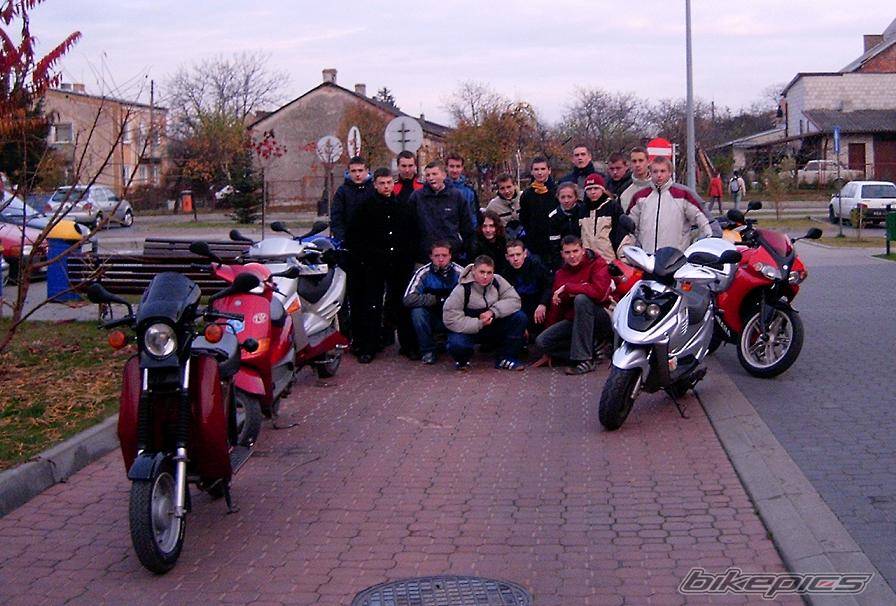 Photo 239744