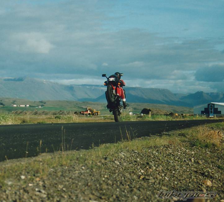 Photo 239748