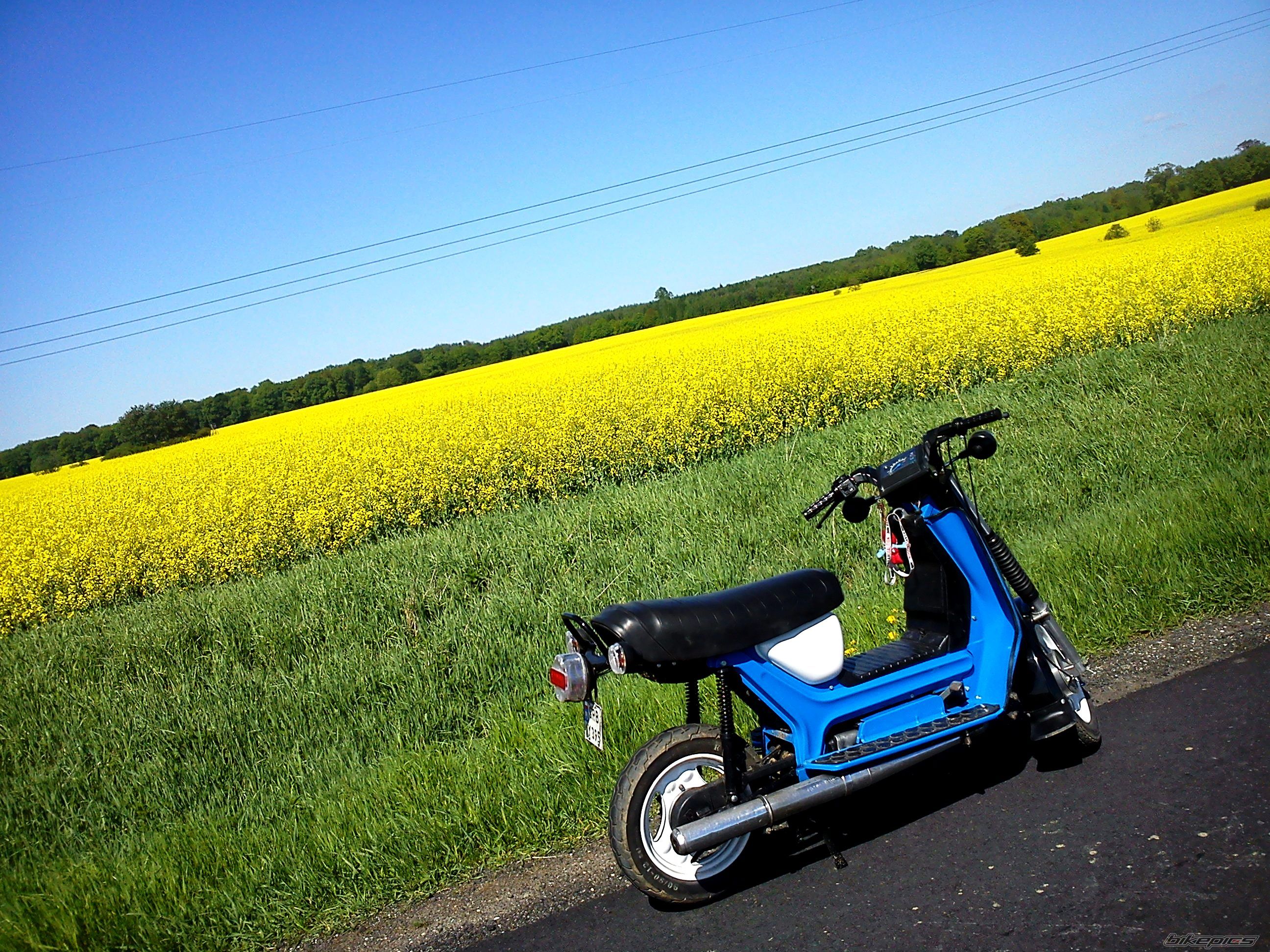Photo 2397513