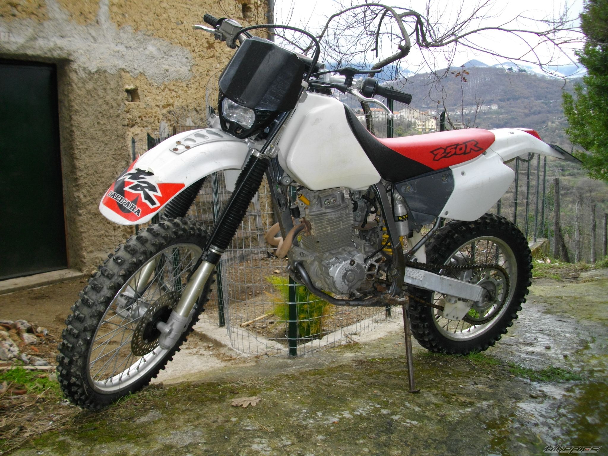 Photo 2397521