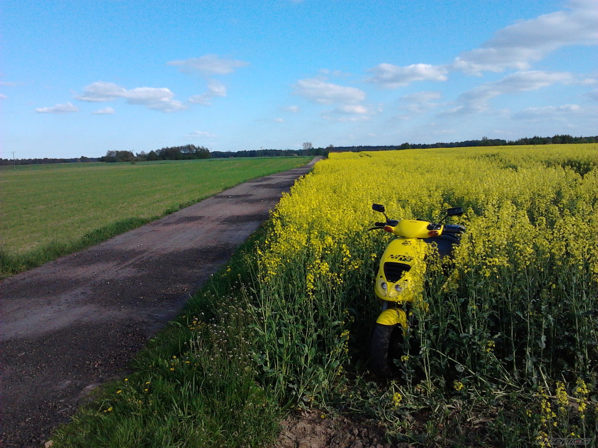 Photo 2397597