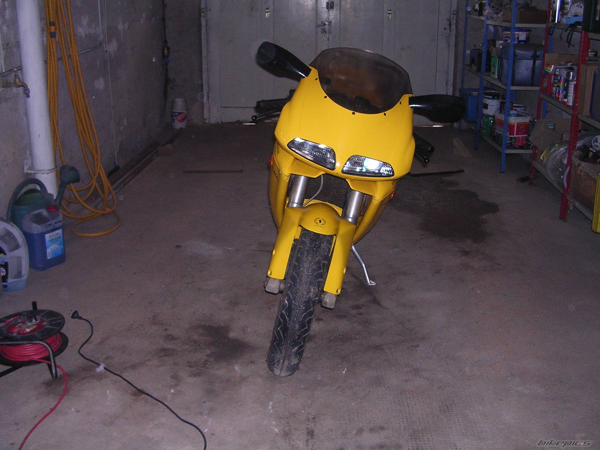 Photo 239761