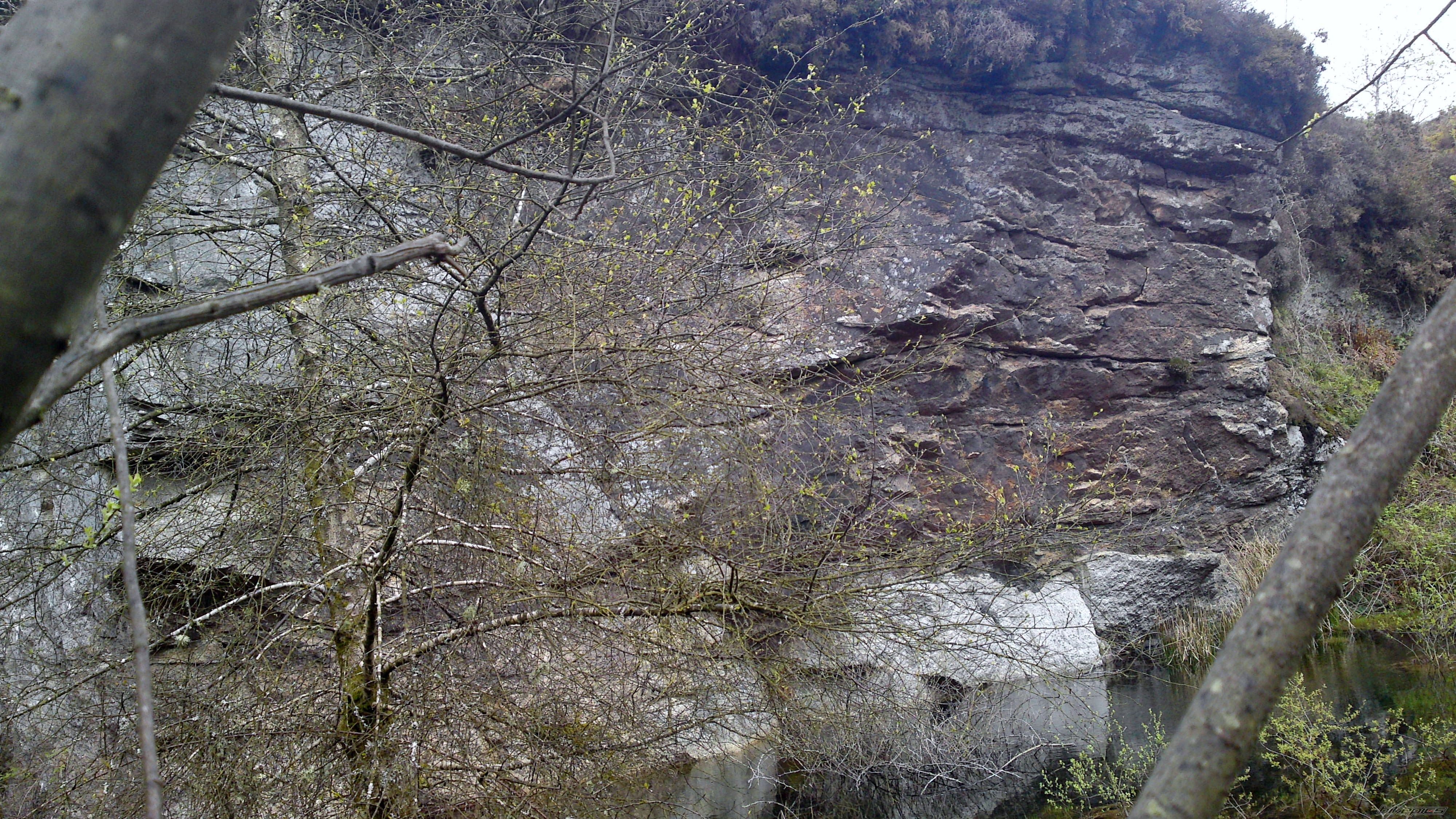 Photo 2397616