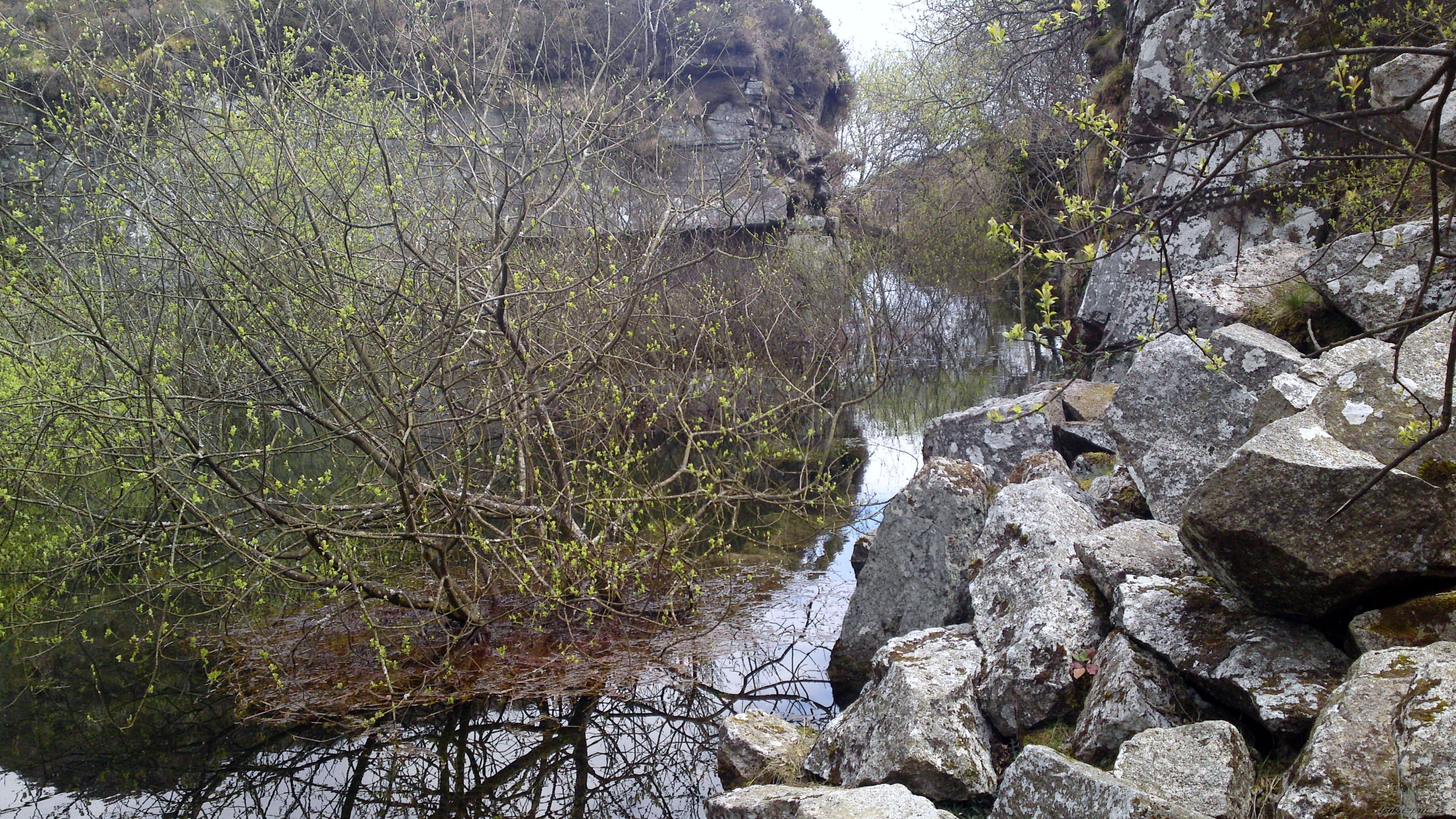 Photo 2397618