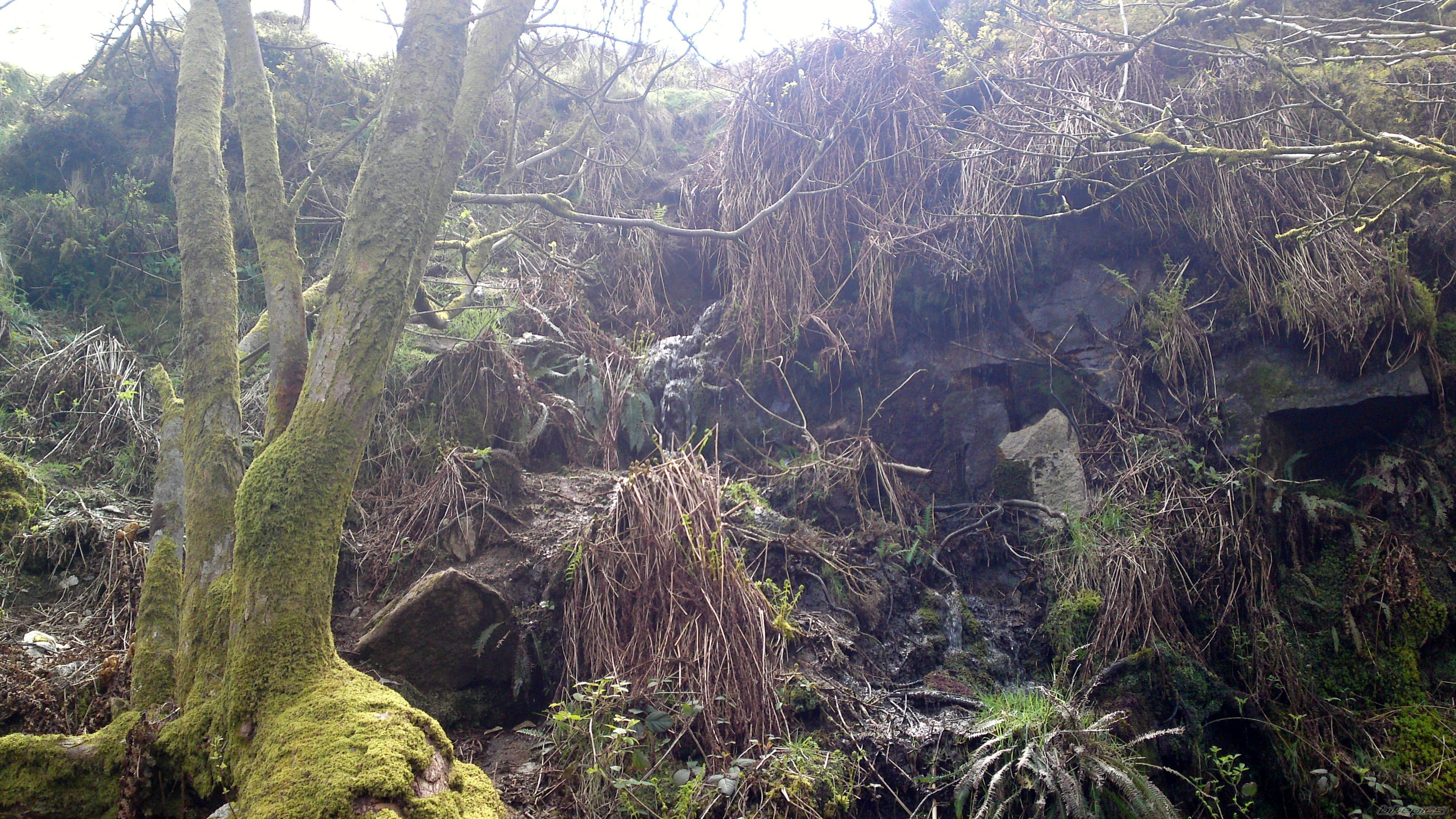 Photo 2397619