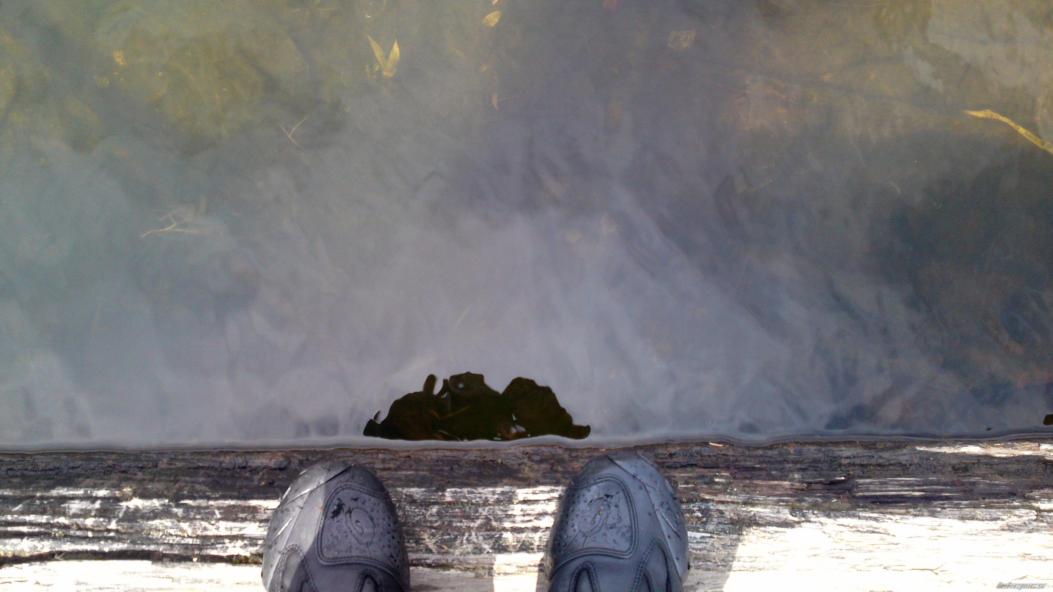 Photo 2397634