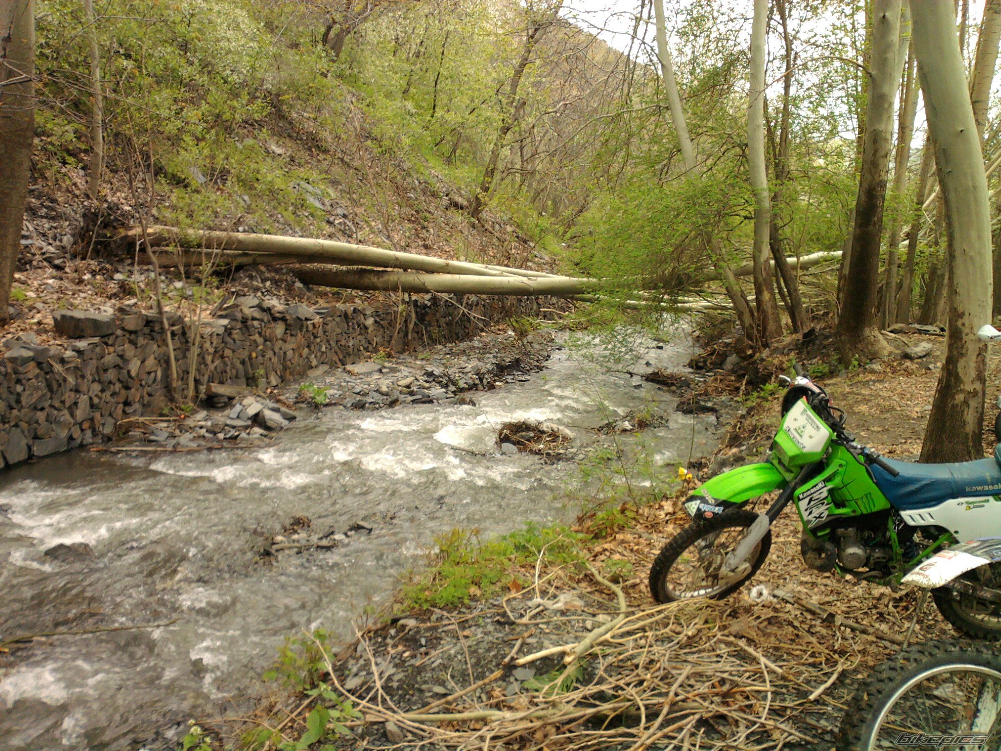Photo 2397668