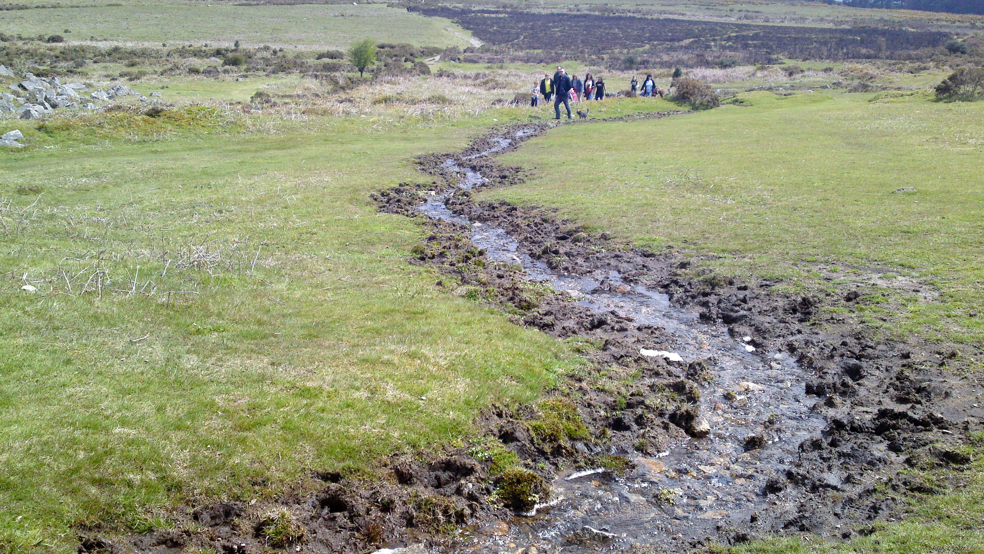 Photo 2397671