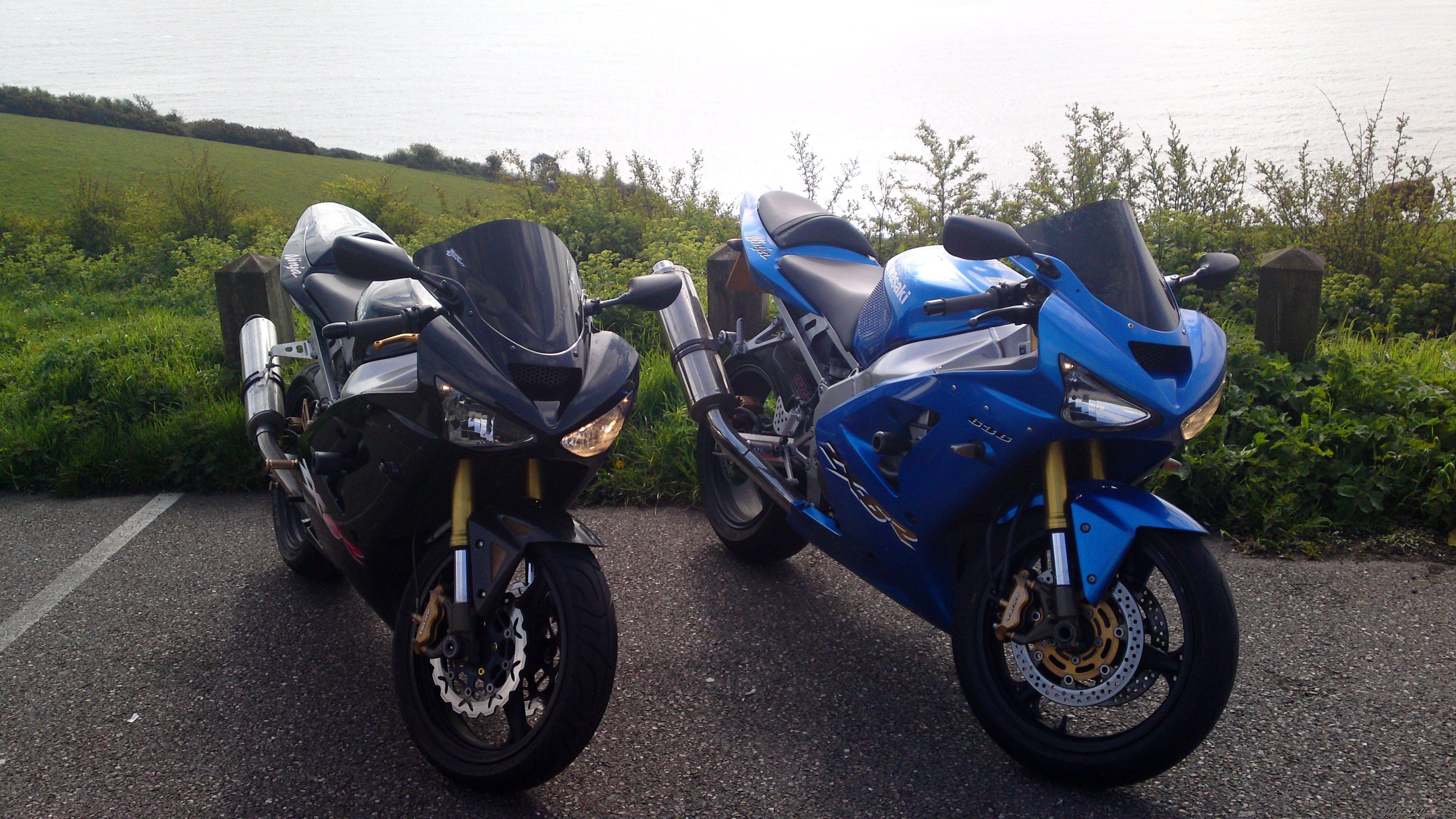 Photo 2397684