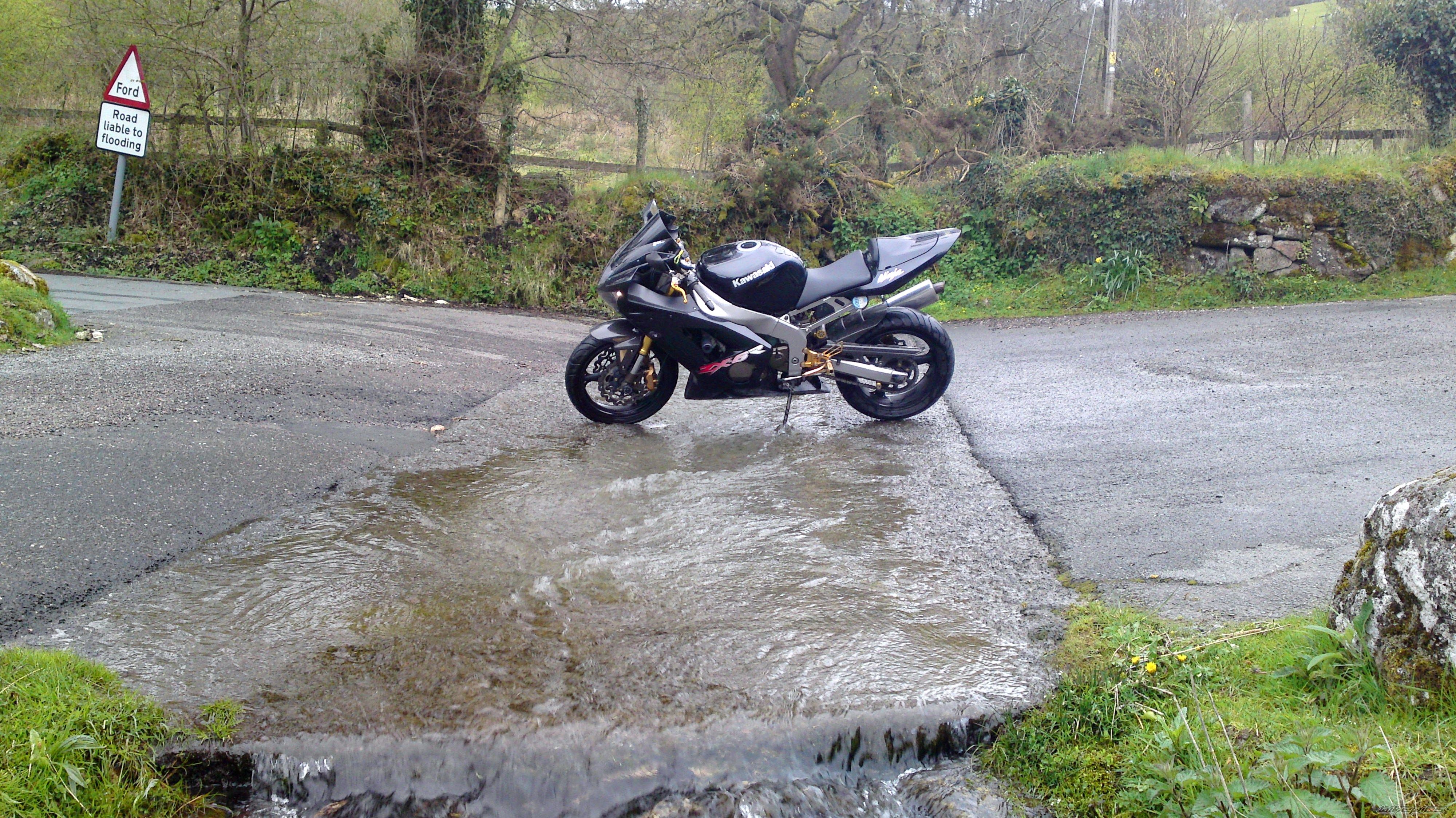 Photo 2397696