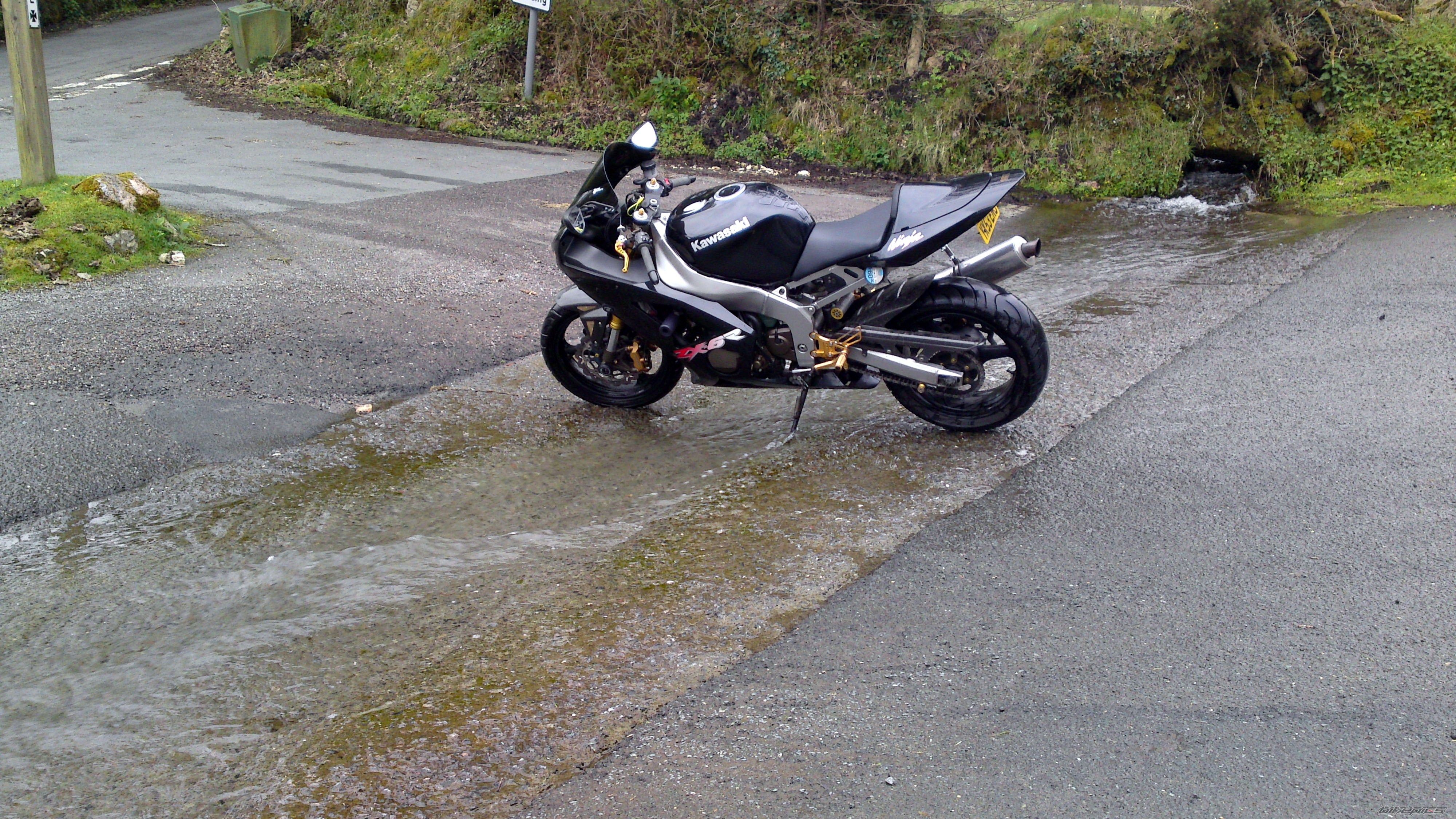 Photo 2397720