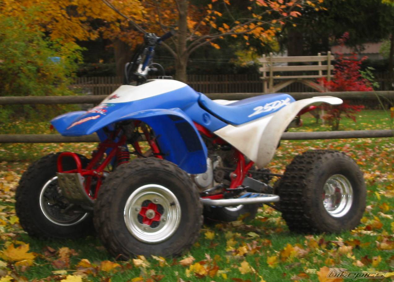 Bike Photo 239780