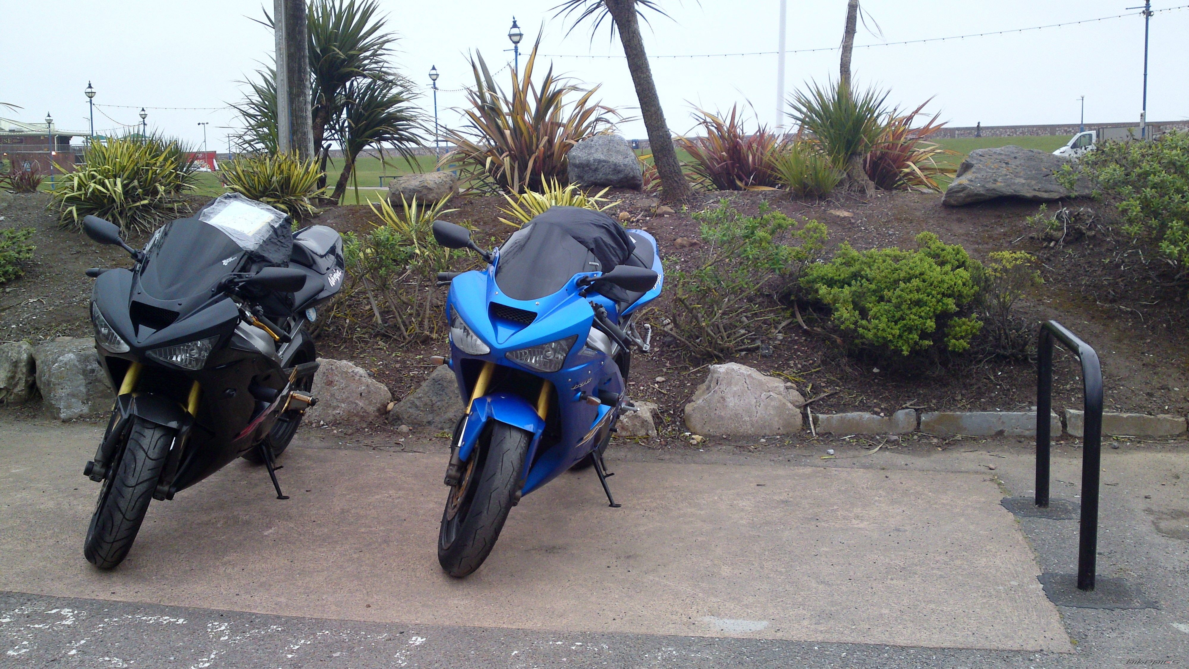Photo 2397801
