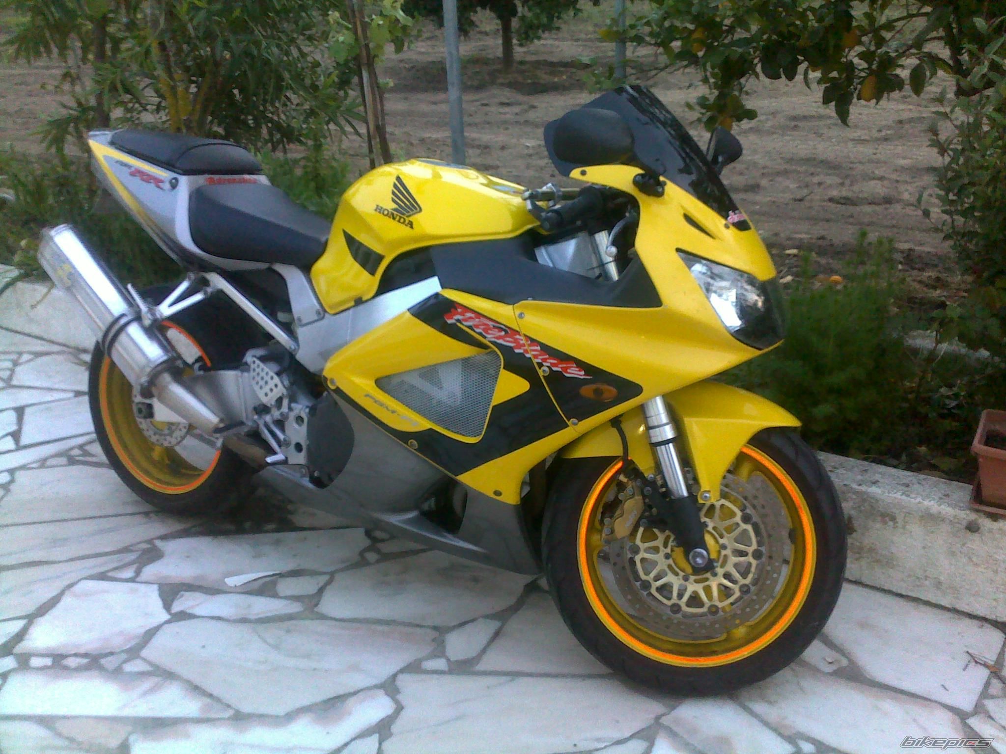 Photo 2397877