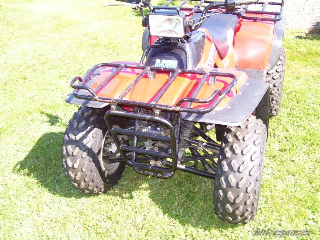 Photo 2397879