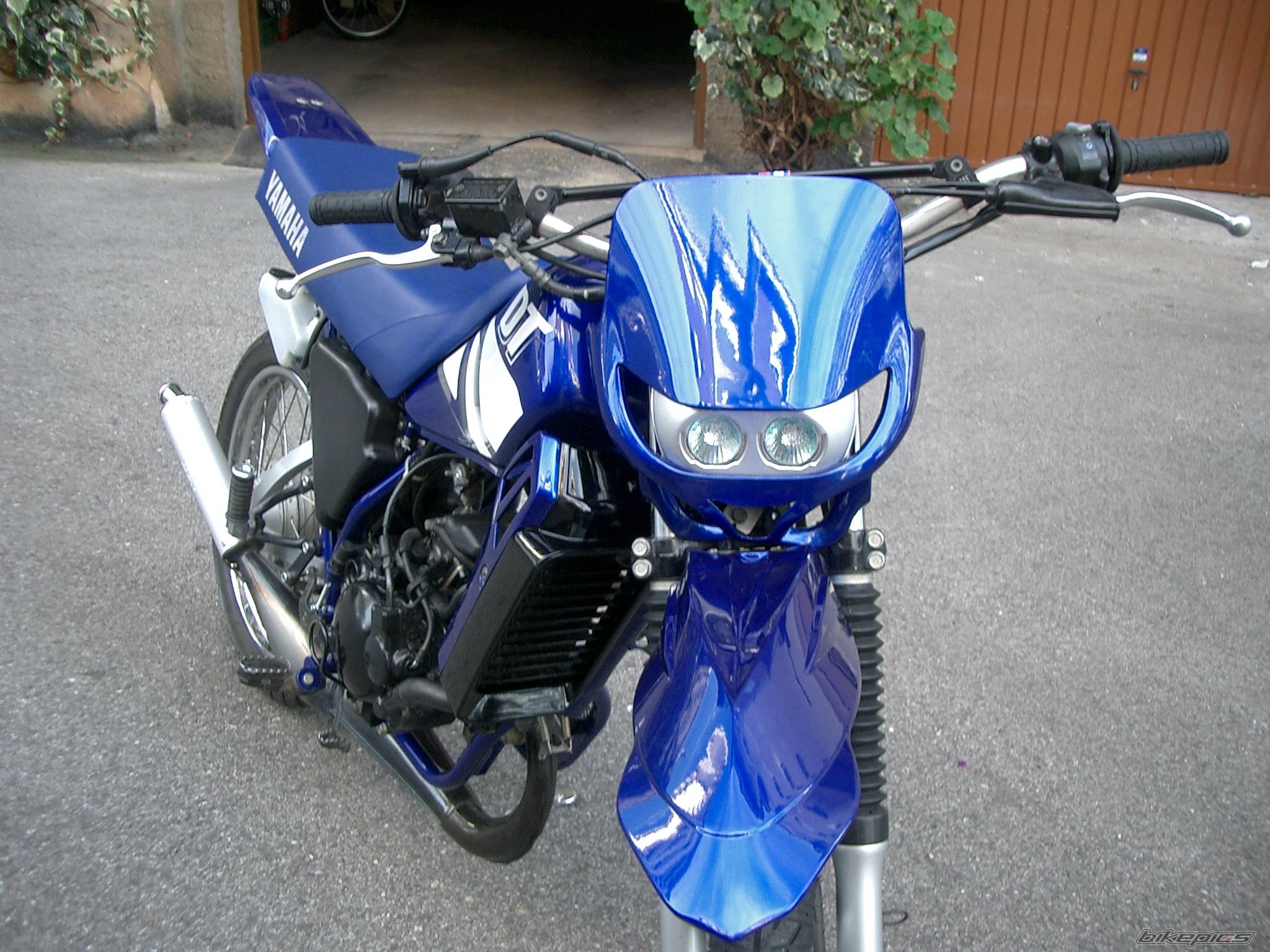Photo 239788