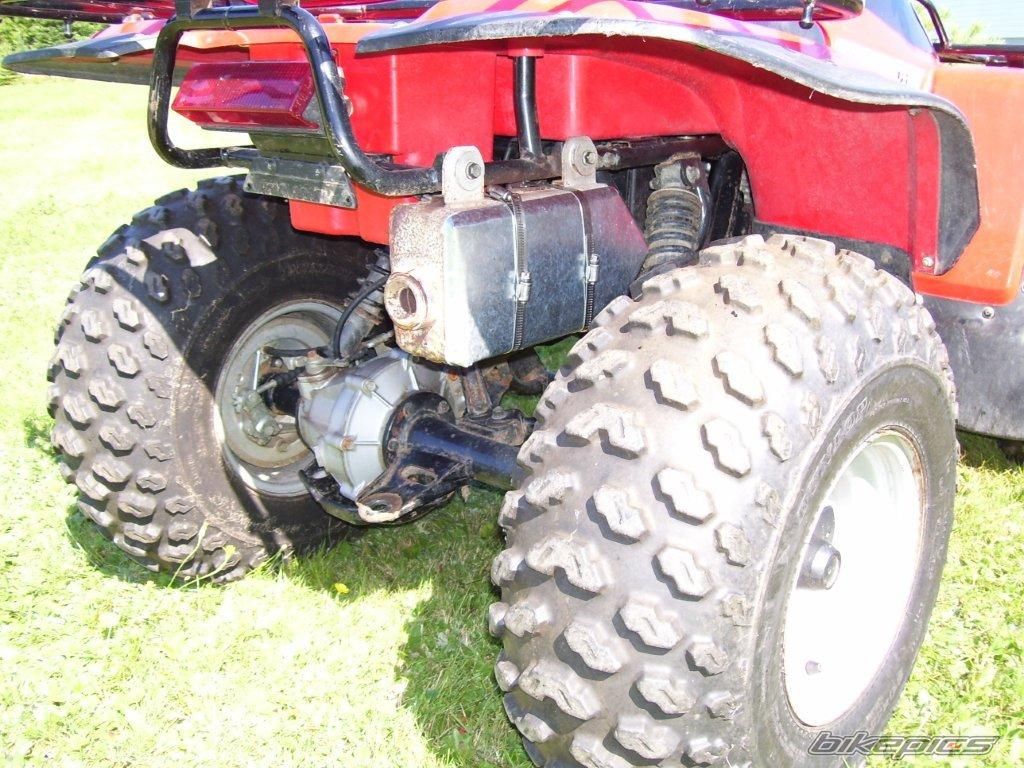 Photo 2397882