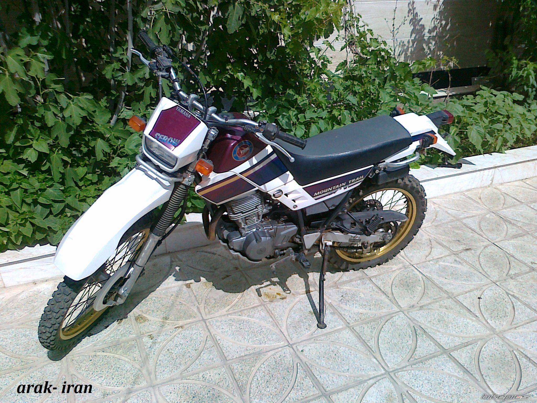 Photo 2397906