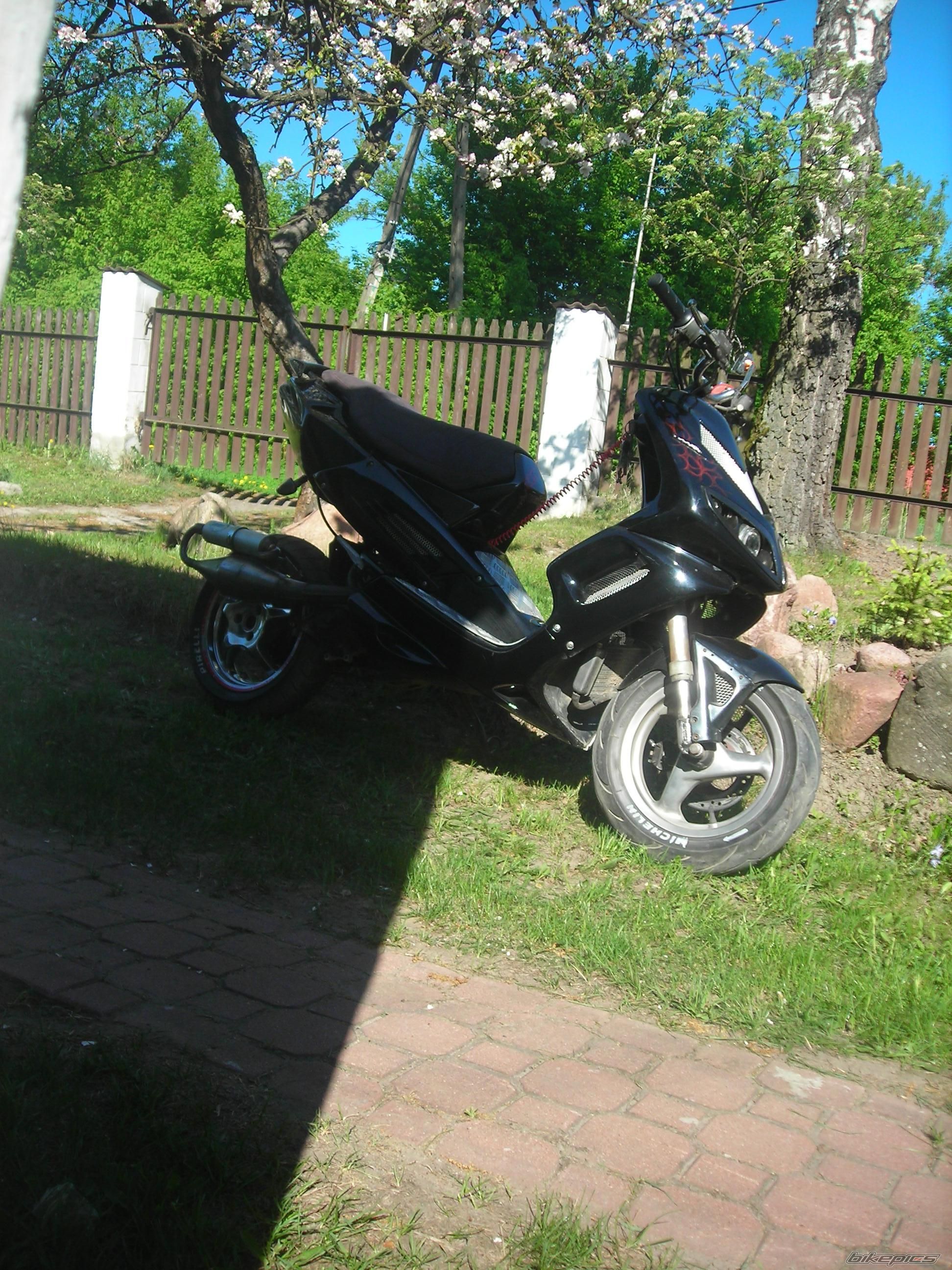 Photo 2398120