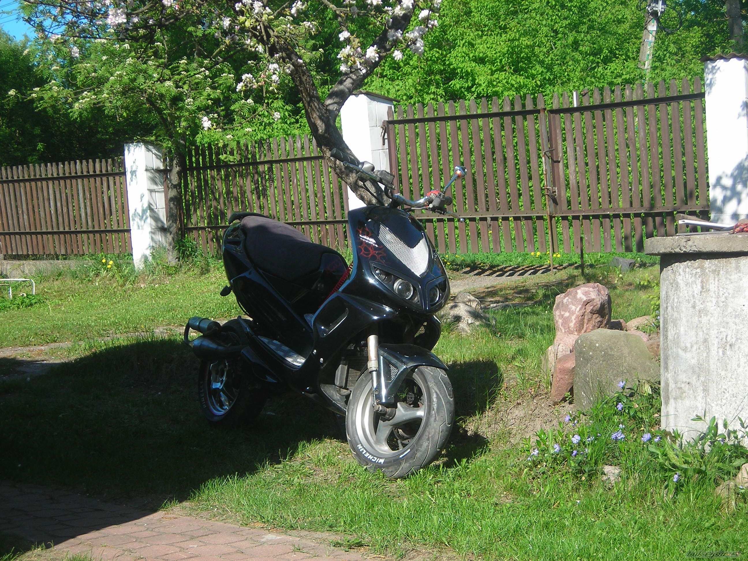 Photo 2398121