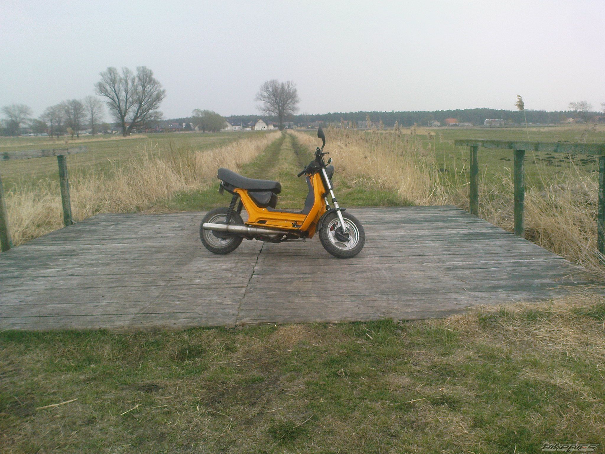 Photo 2398218