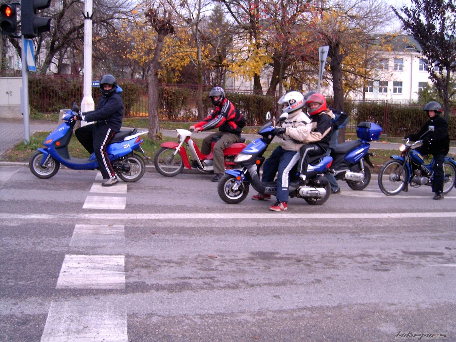 Photo 239828