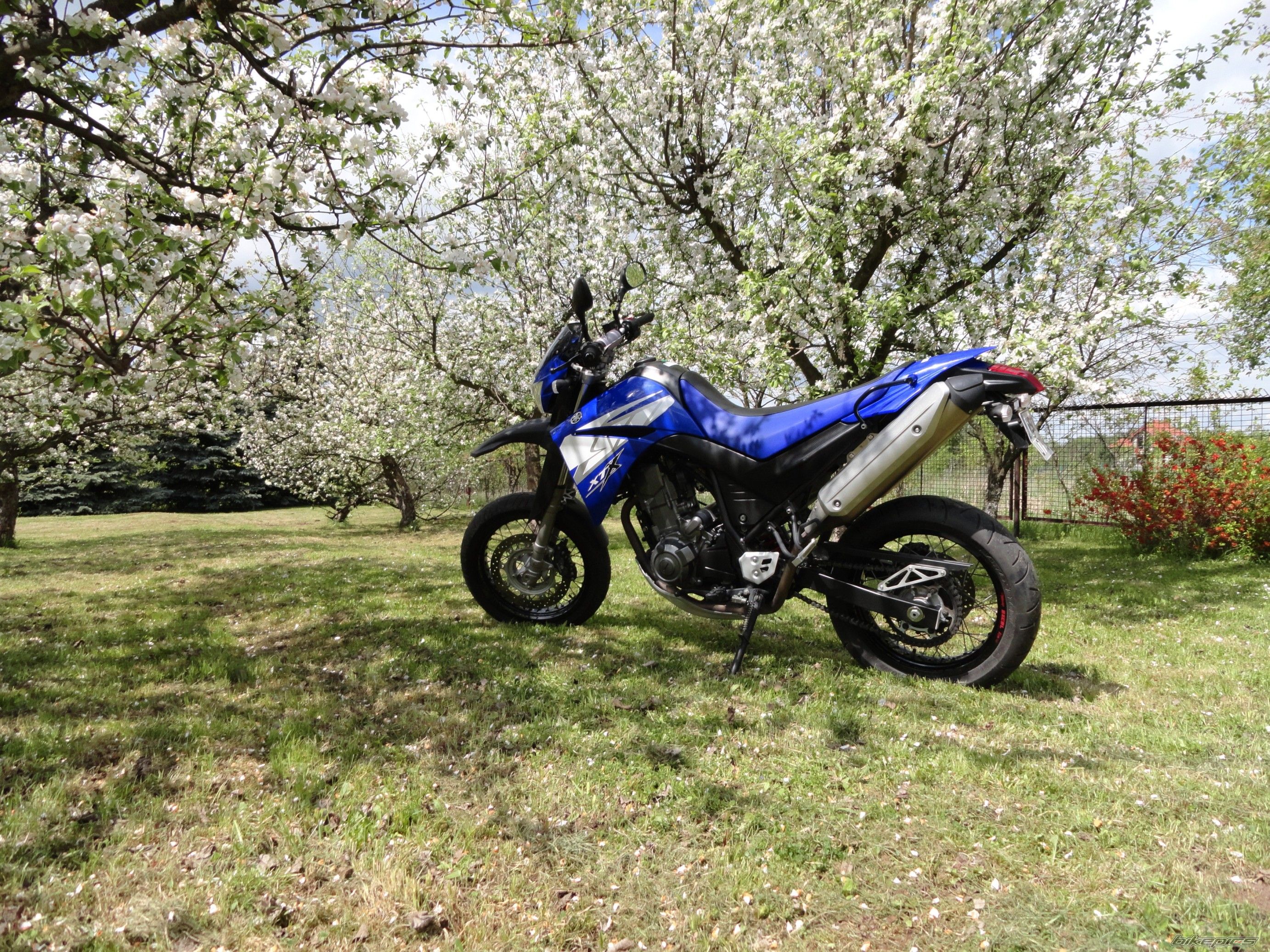 Photo 2398292