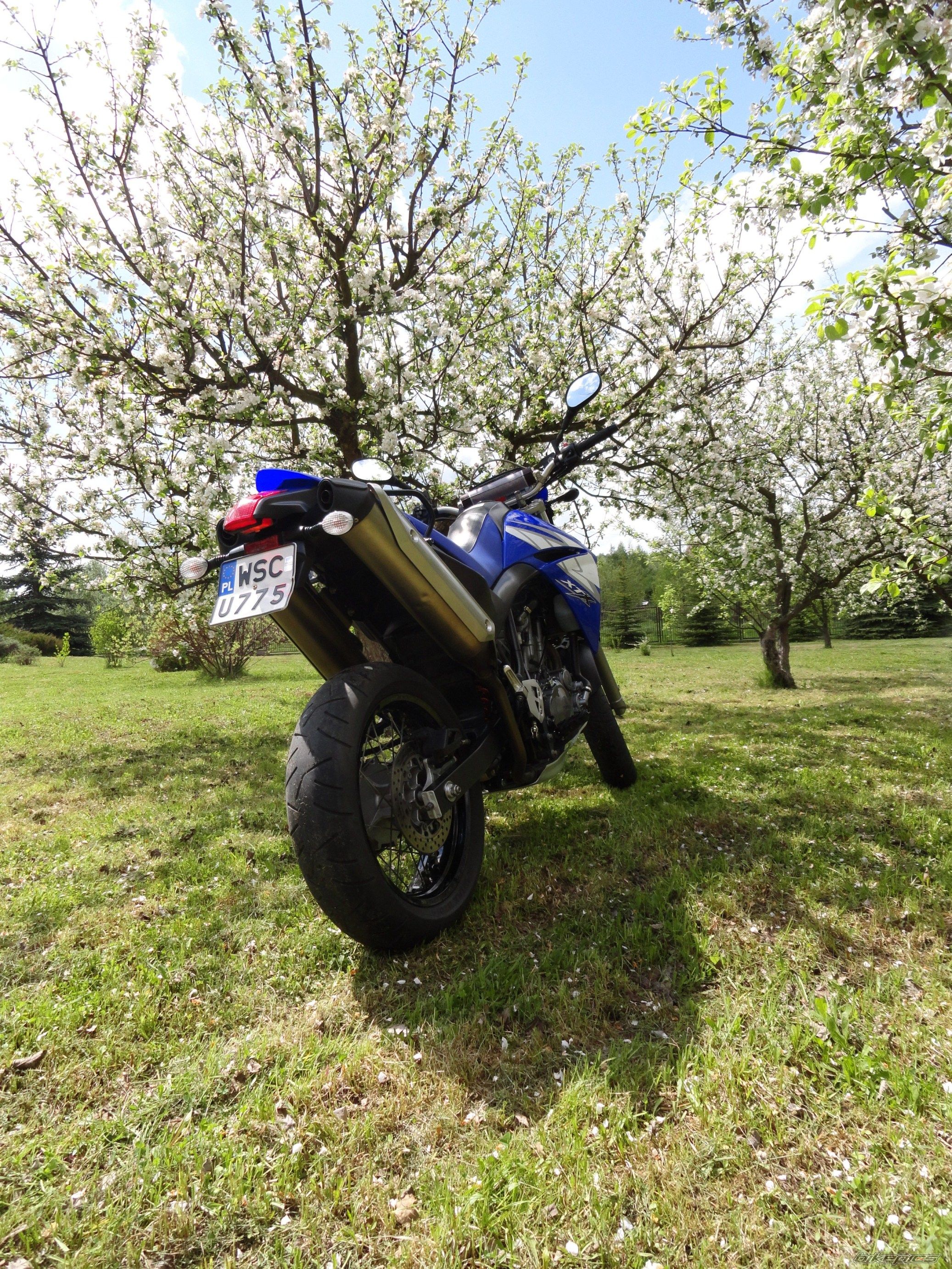 Photo 2398293