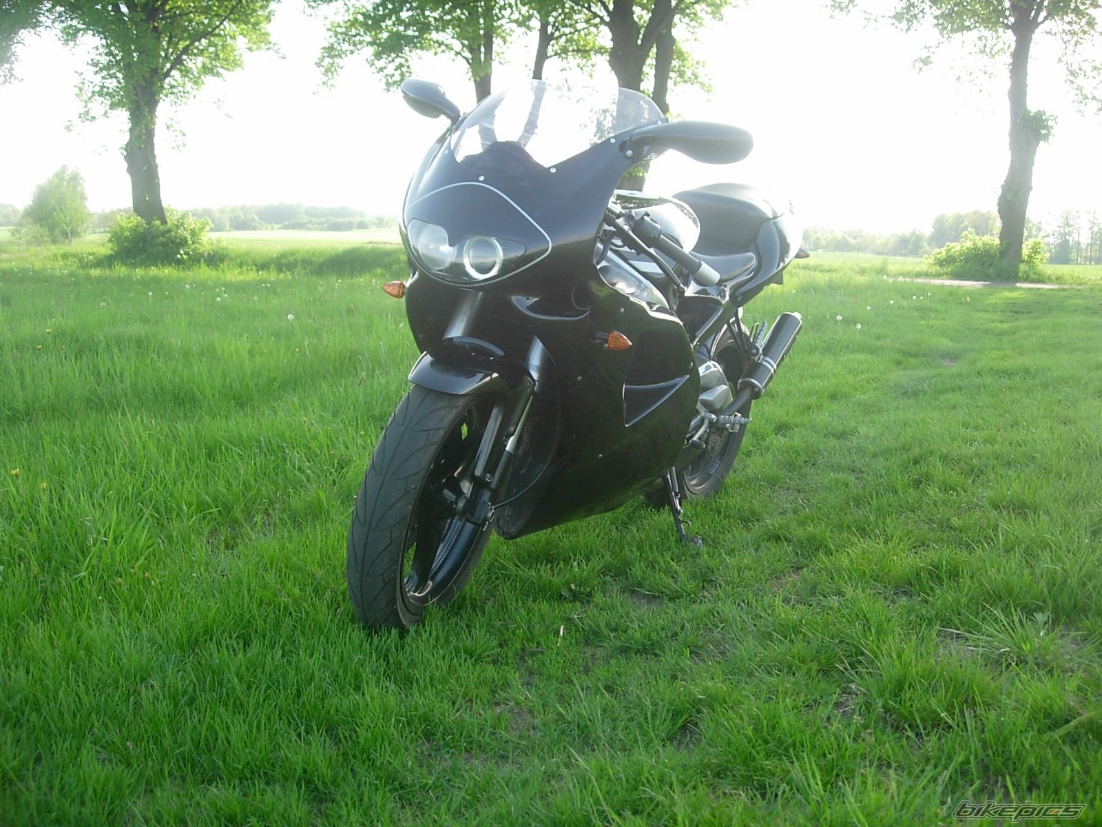 Photo 2398349