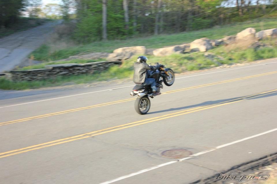 Photo 2398366