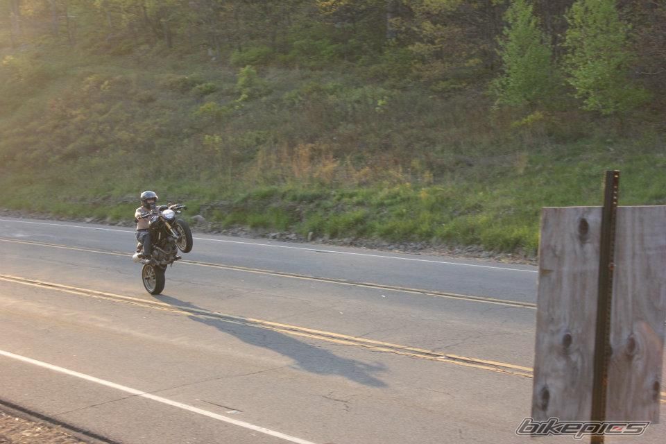 Photo 2398377