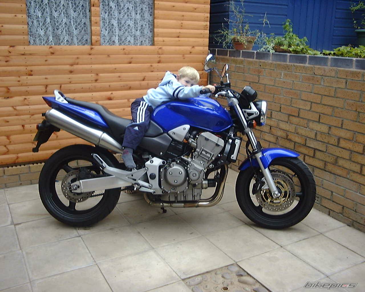 Bike Photo 239839