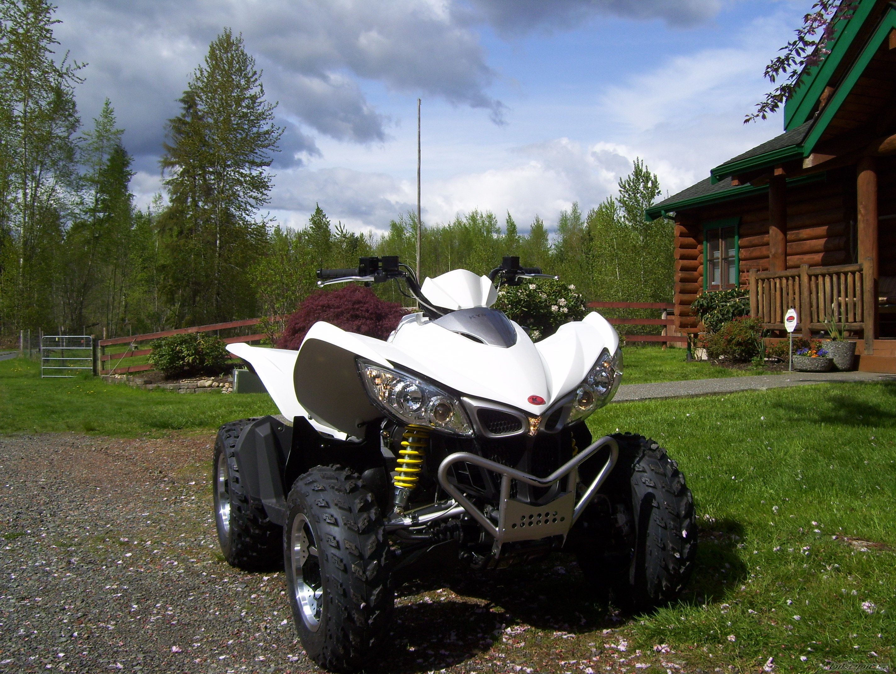 Photo 2398418