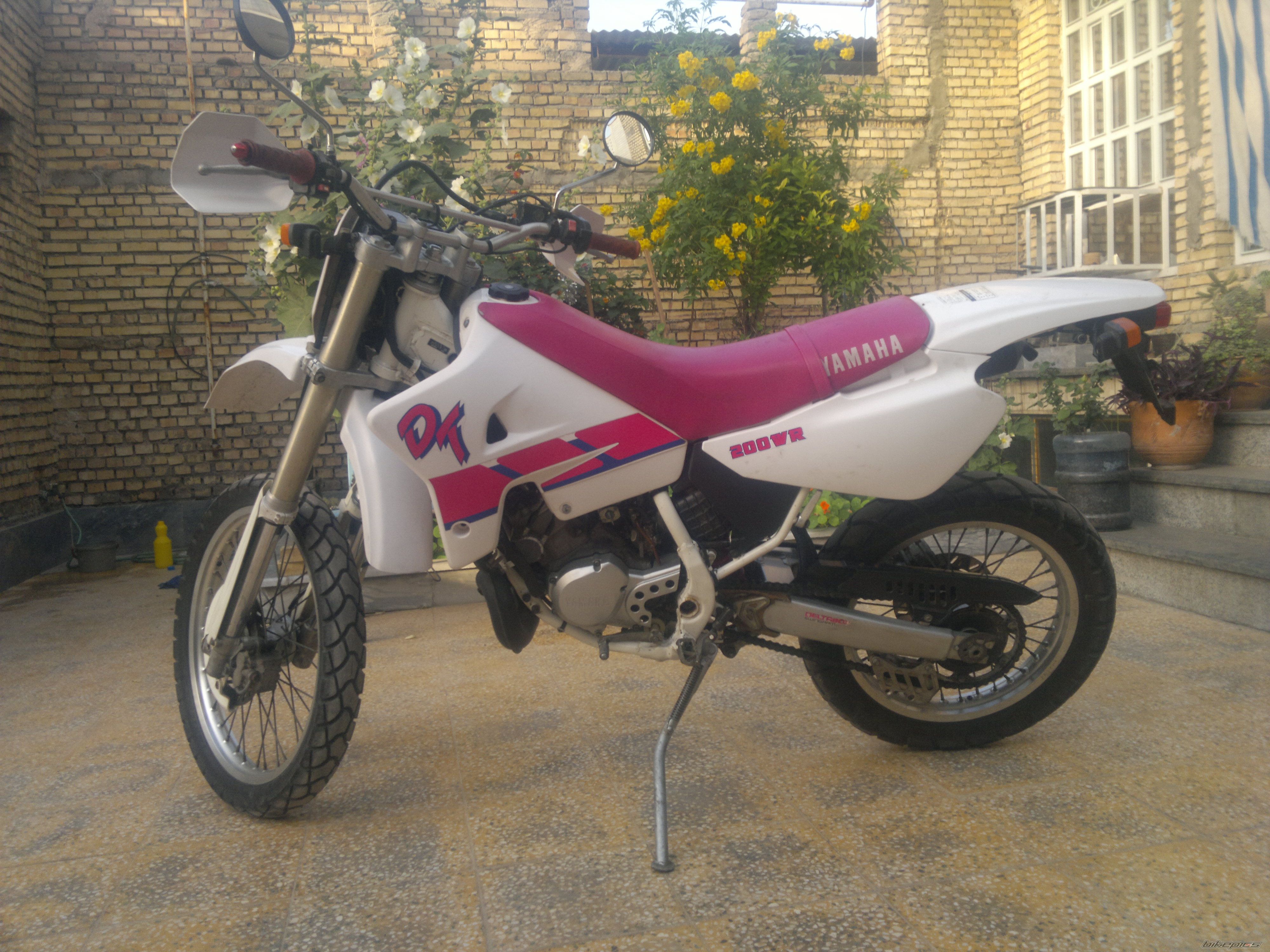 Photo 2398667