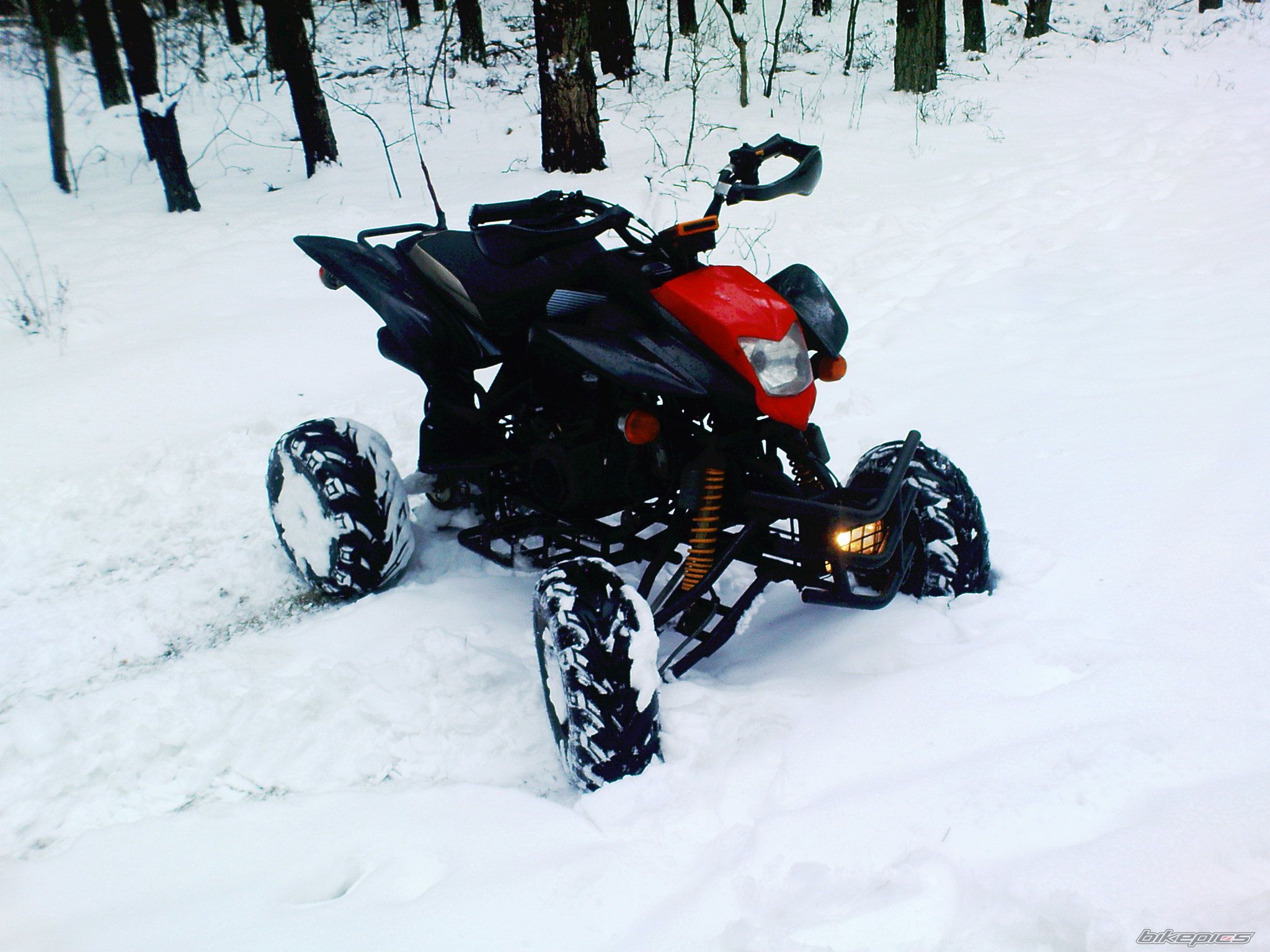 Photo 2398719