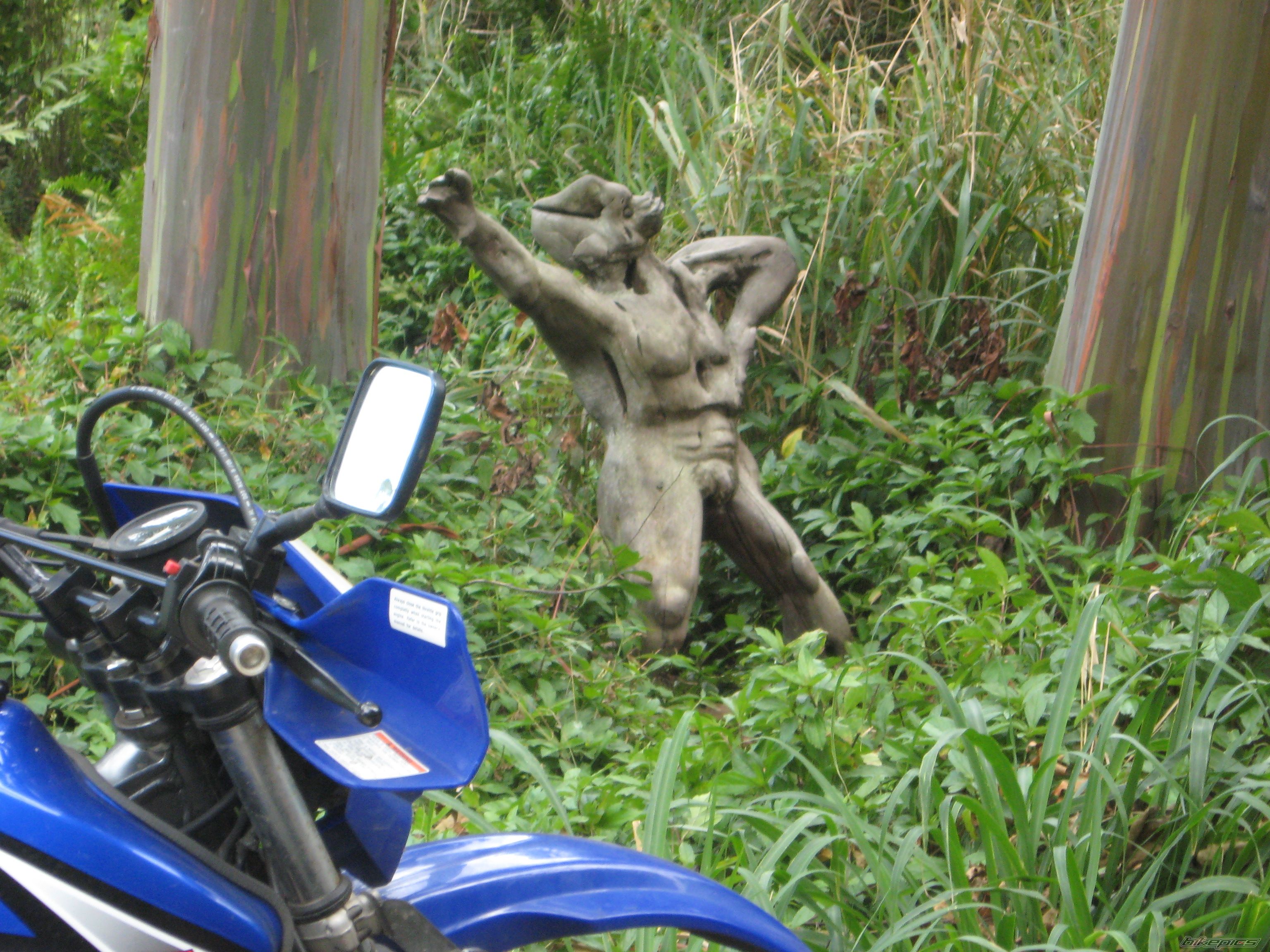 Photo 2398792