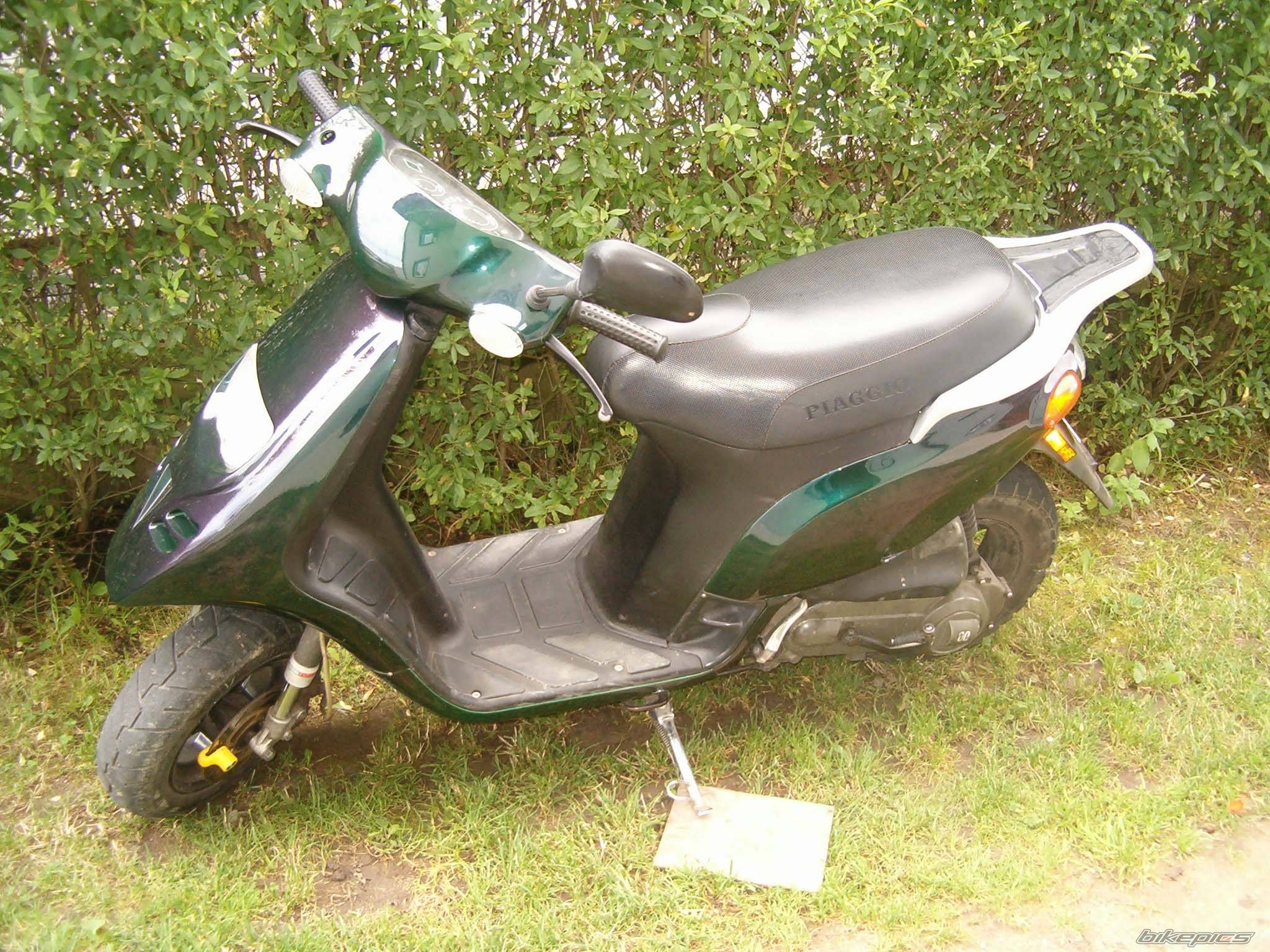 Photo 239884