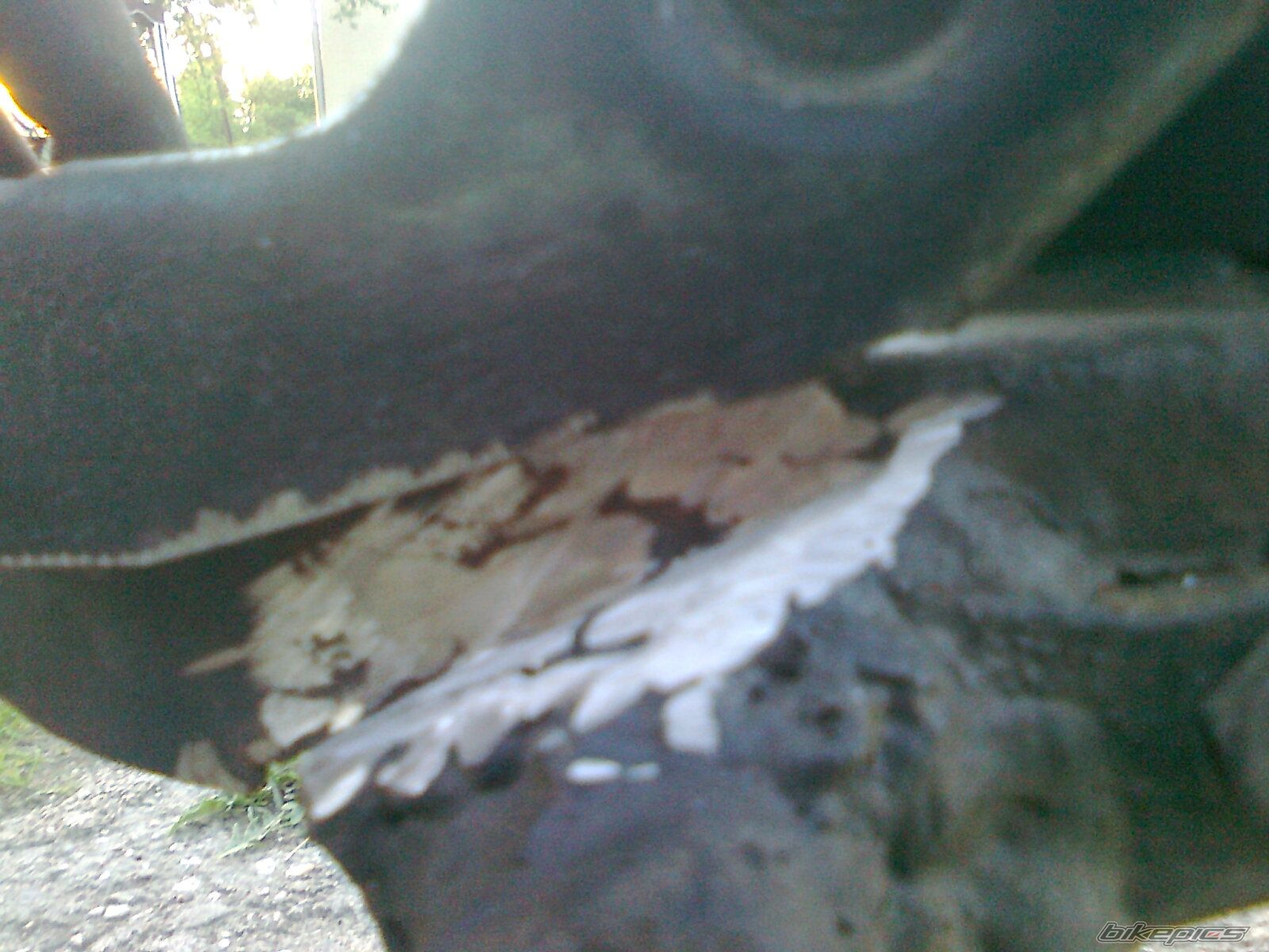 Photo 2398864