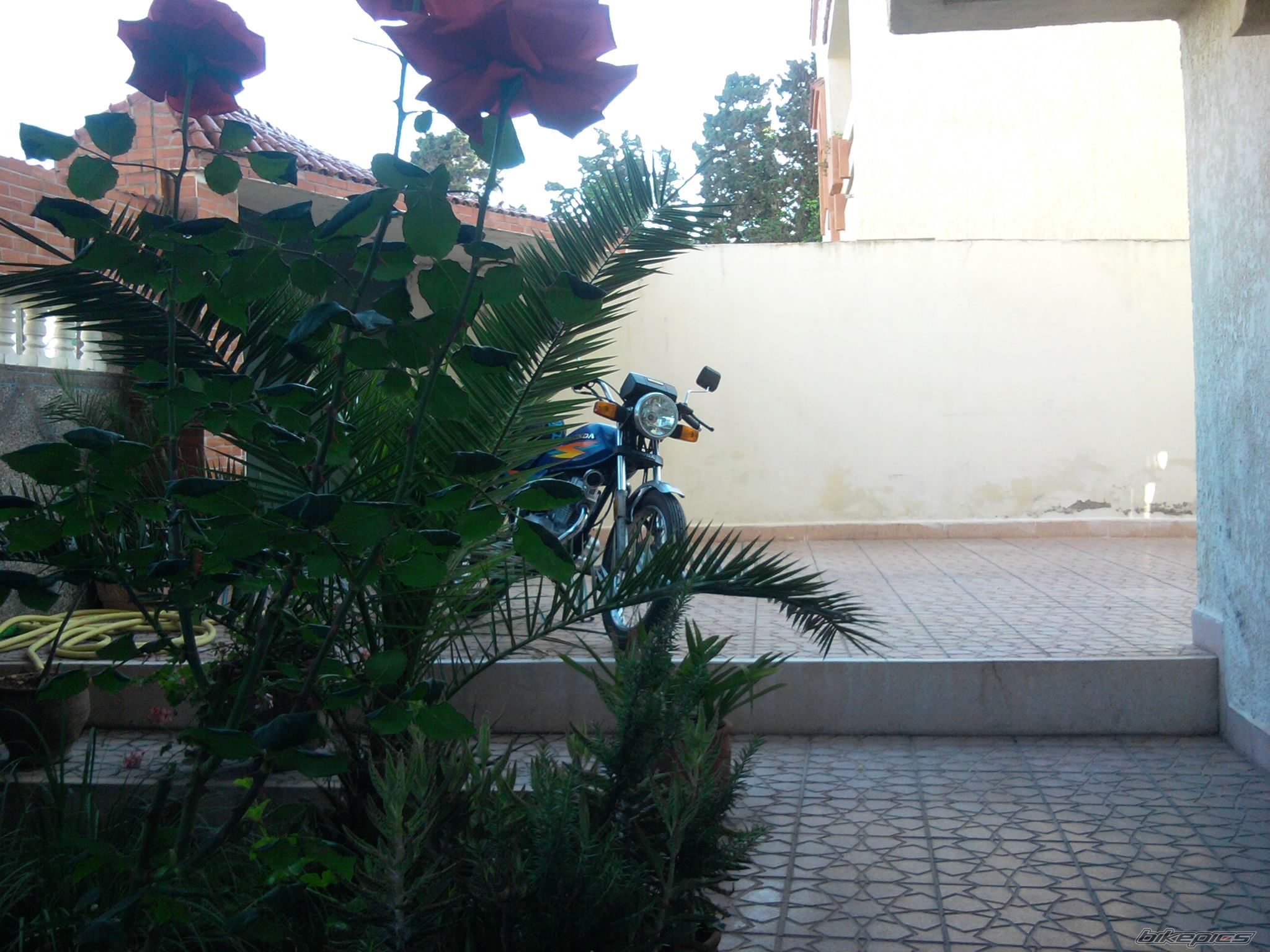 Photo 2398901