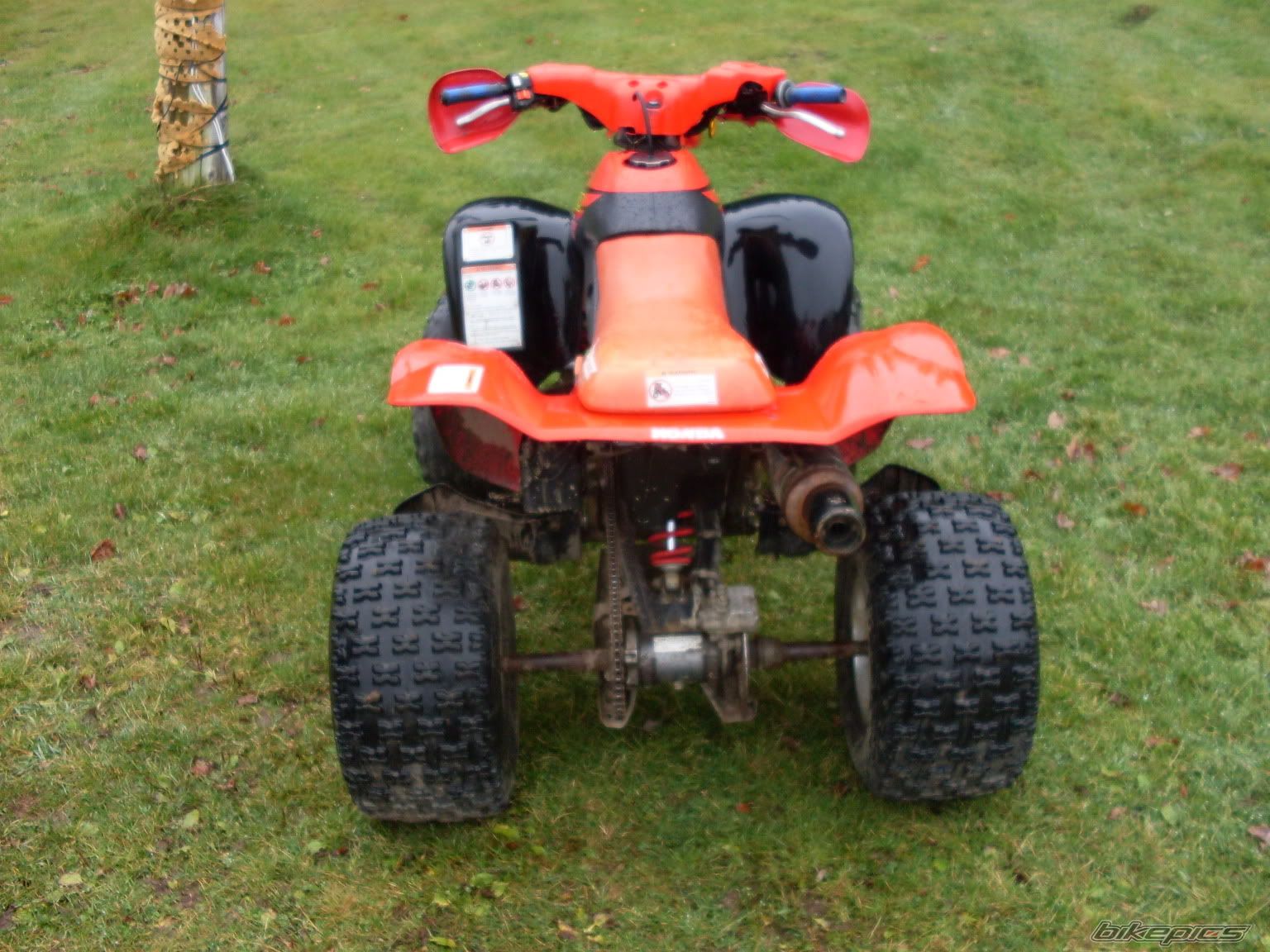 Photo 2398928