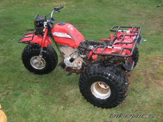 Photo 2398931