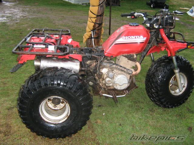 Photo 2398933