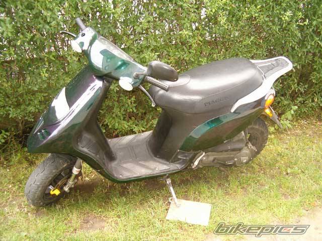 Photo 239896