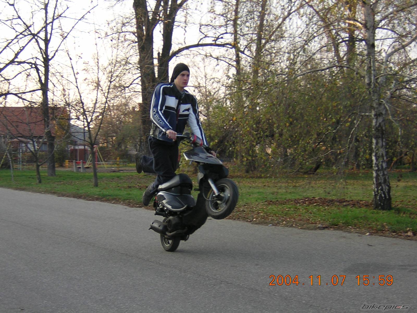 Photo 239902