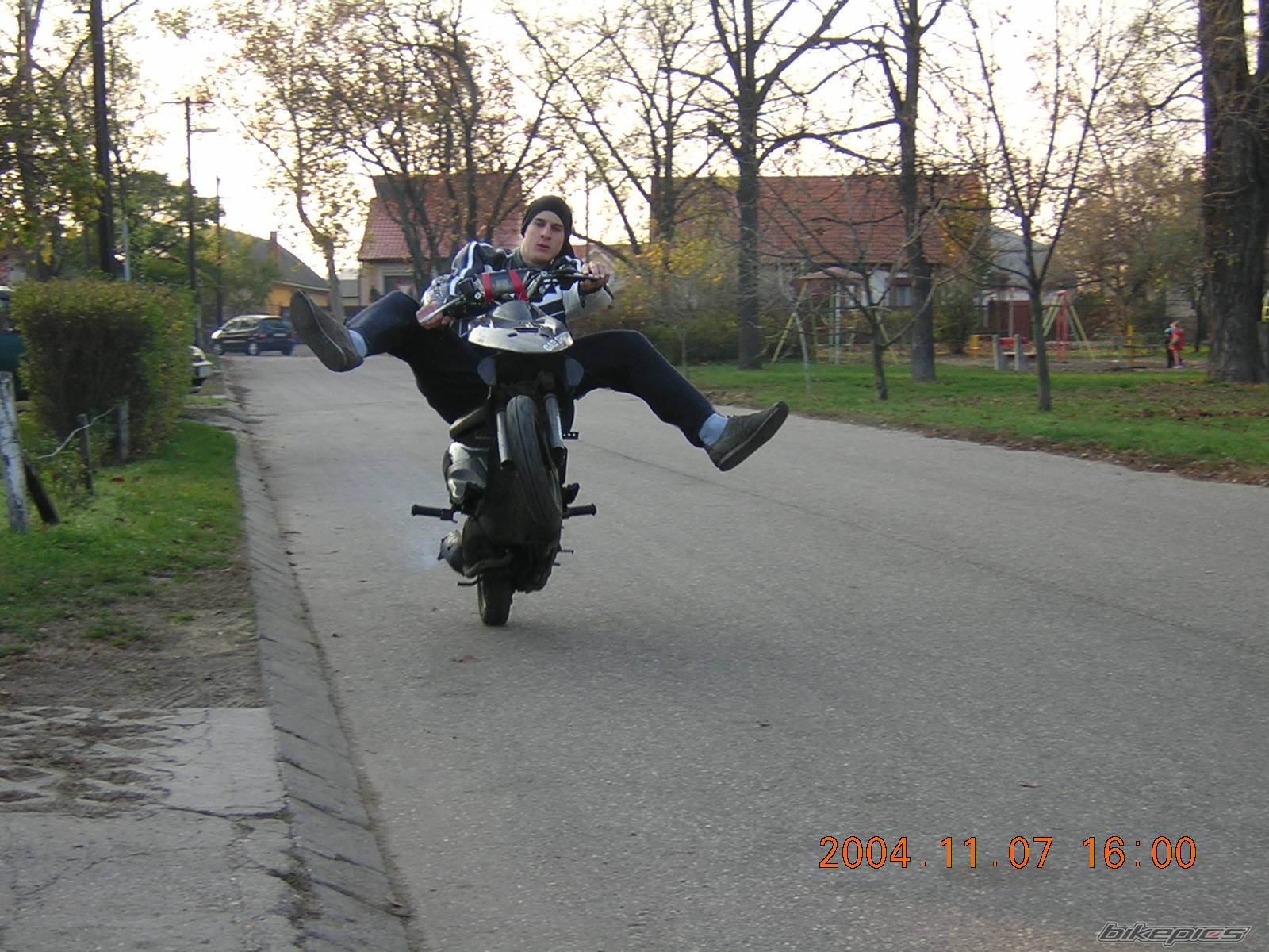 Photo 239904