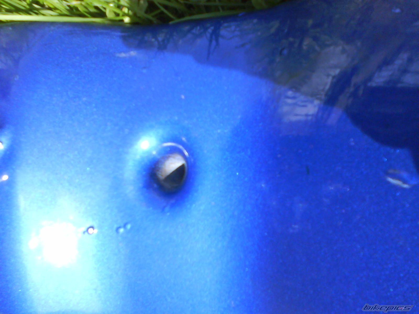 Photo 2399046