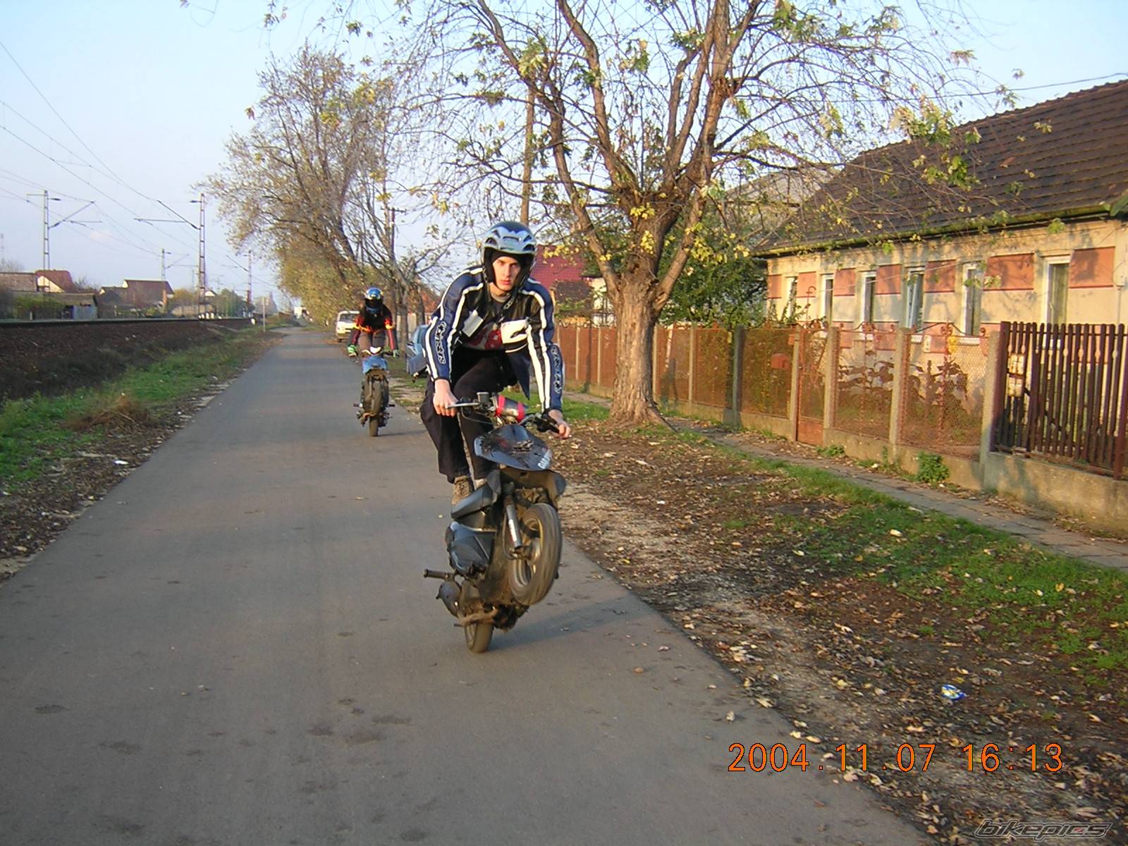 Photo 239906