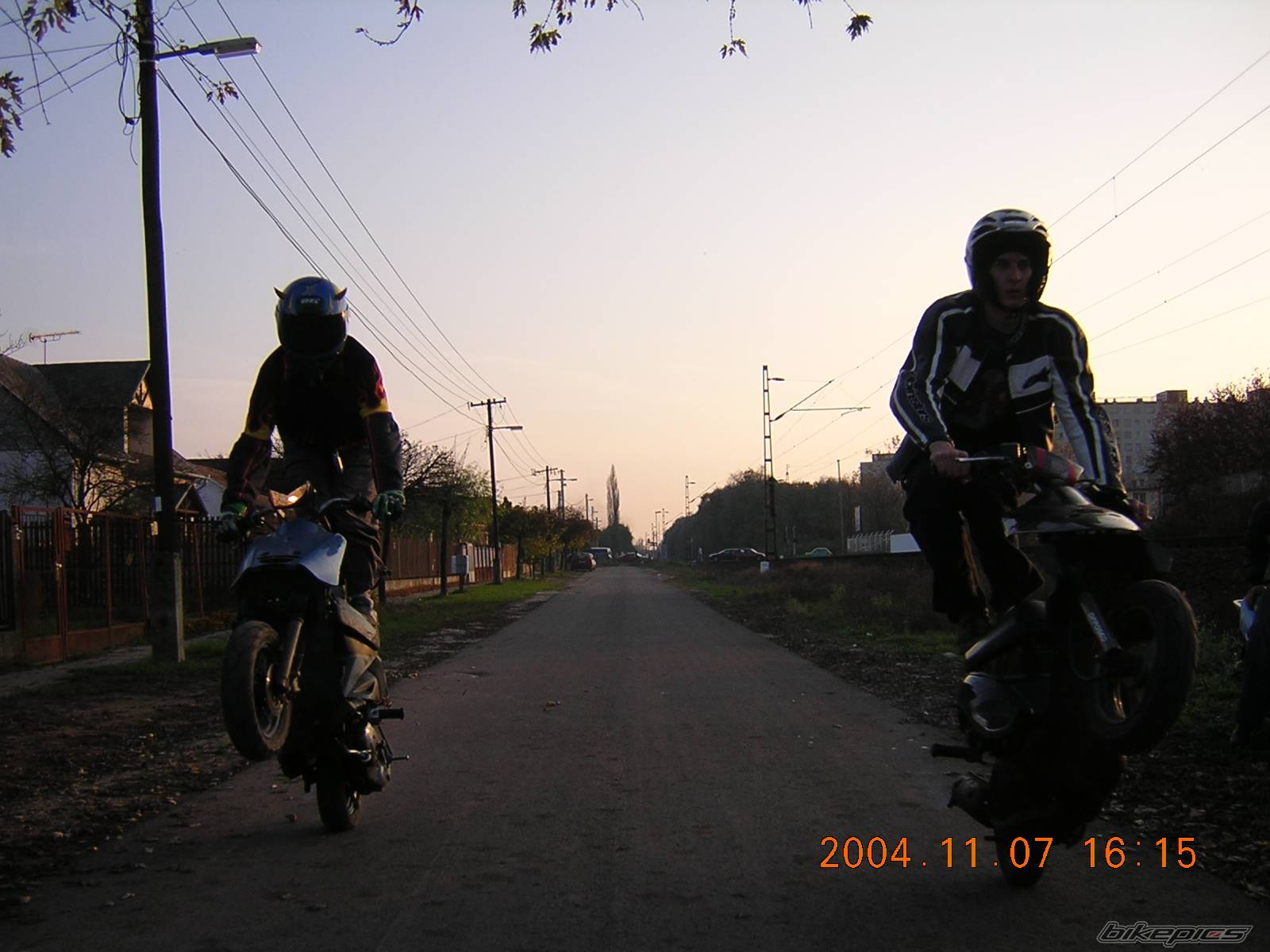 Photo 239907