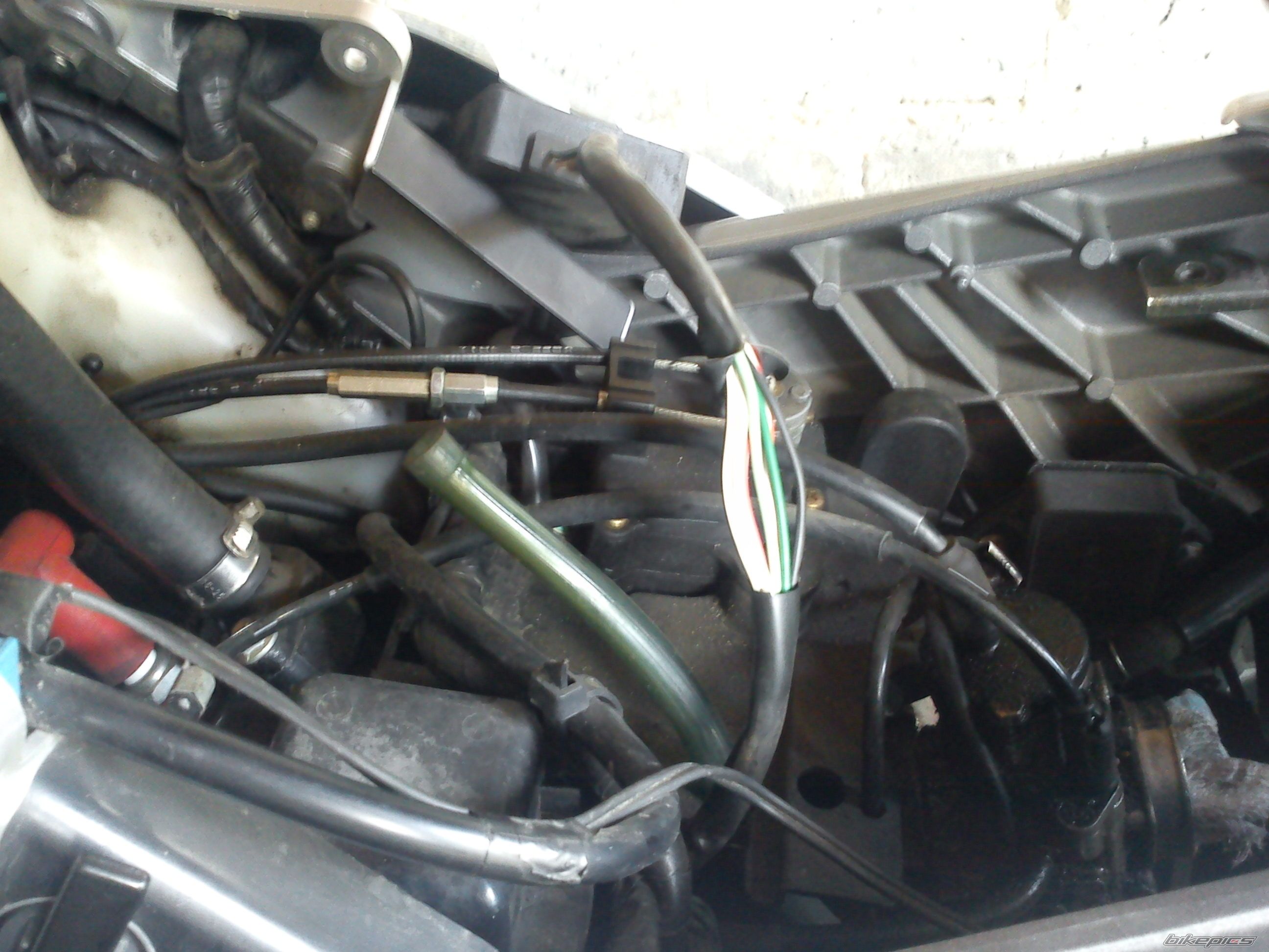 Photo 2399079