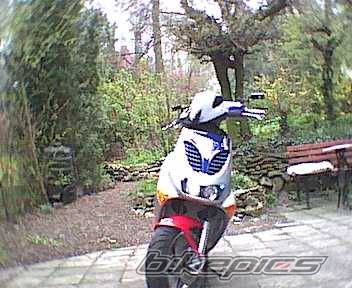 Photo 23991
